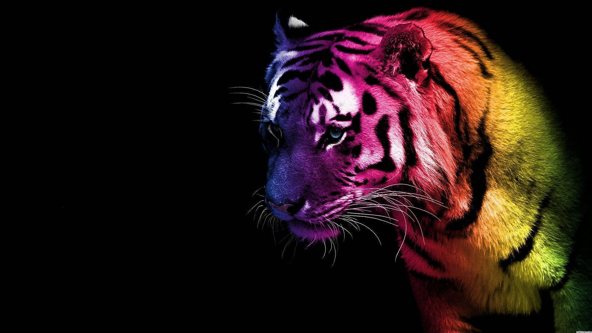 Cool Multi Colored Tiger Art, rainbow-colored fur, pitch-black background, Full HD Desktop Wallpaper