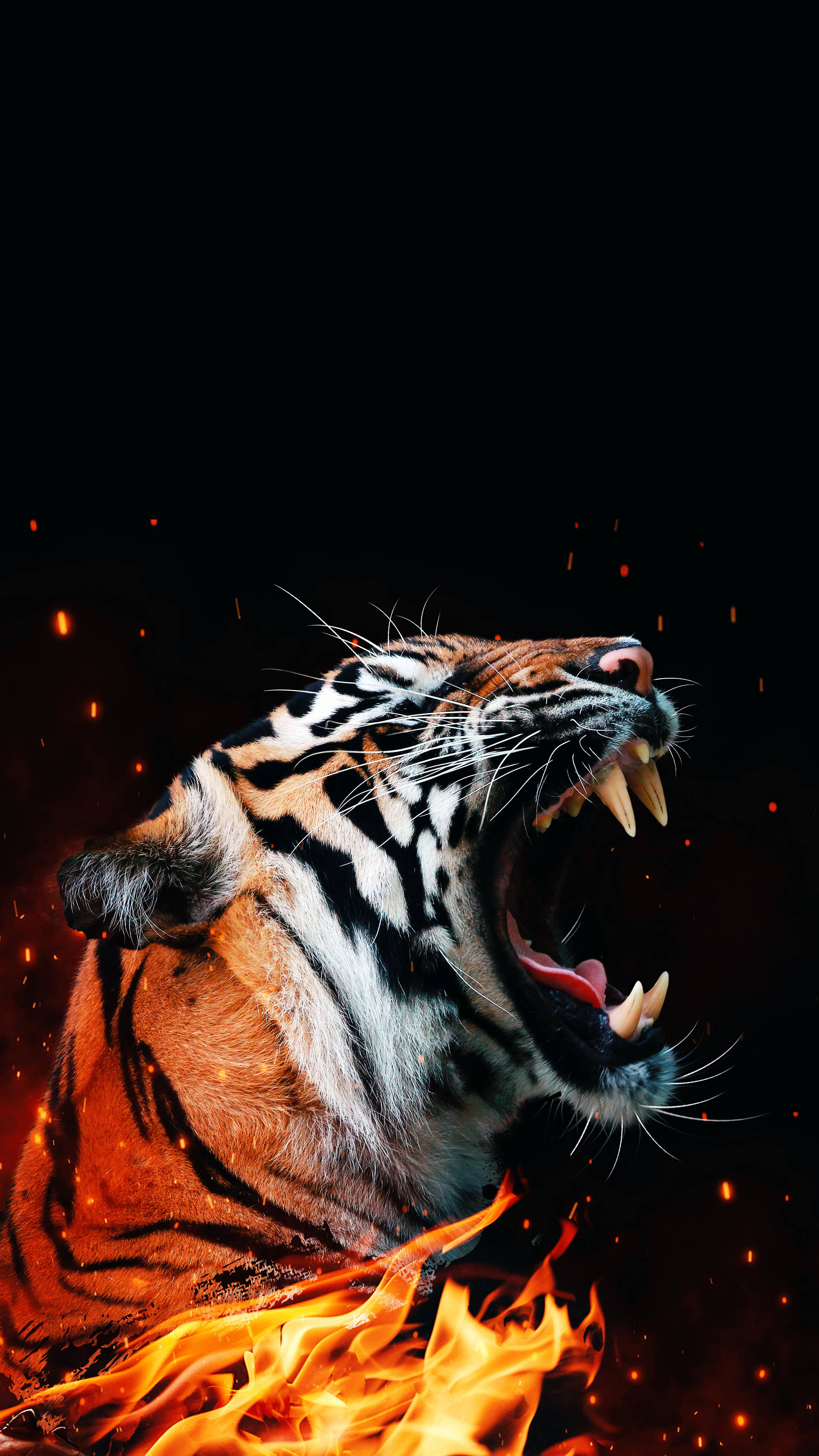 Cool Tiger, fire, flames, 5K Phone Wallpaper