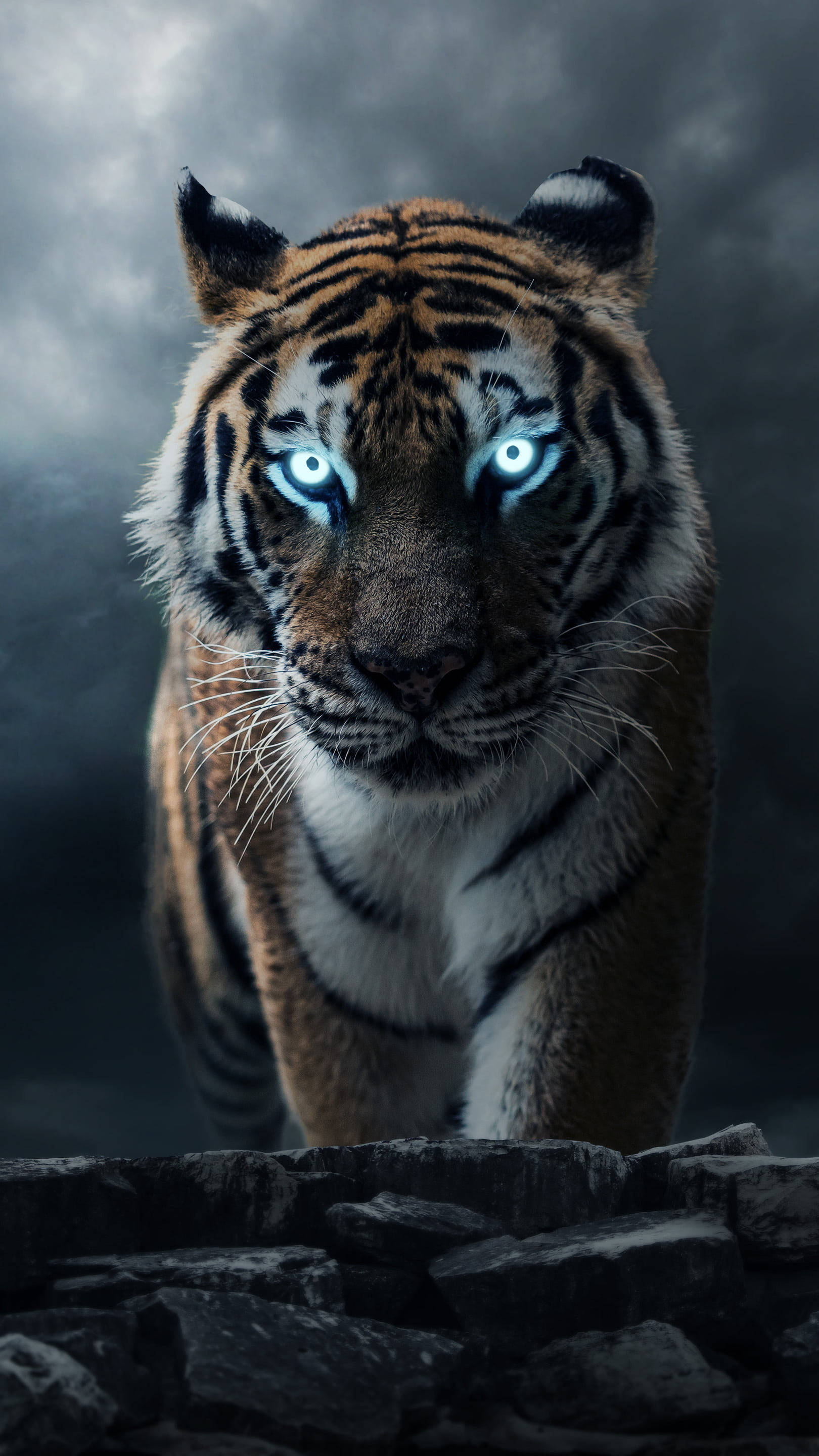 cool menacing tiger, glowing blue eyes, dark rocks, 2K Phone Wallpaper