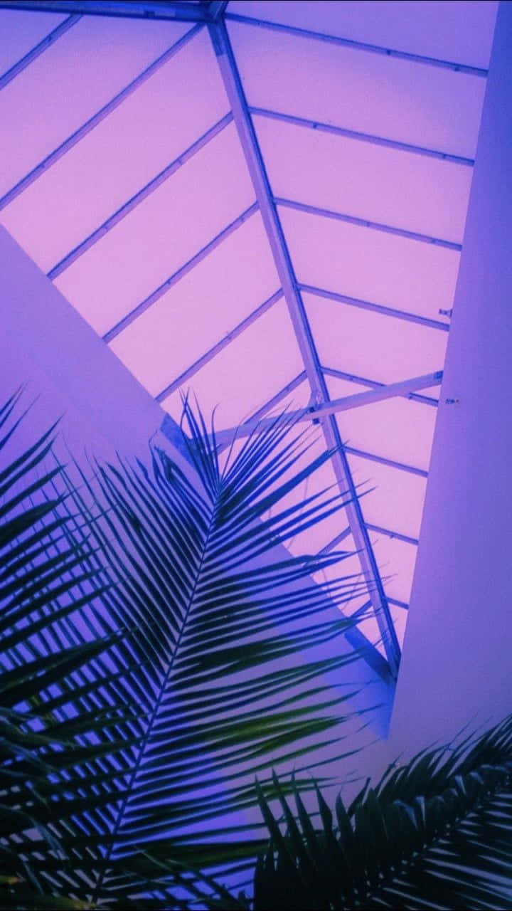 purple sky, palm trees, geometric glass roof, HD Phone Wallpaper