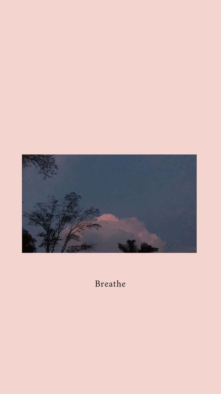 dusky blue twilight sky, soft pink cloud, silhouetted trees, HD Phone Wallpaper