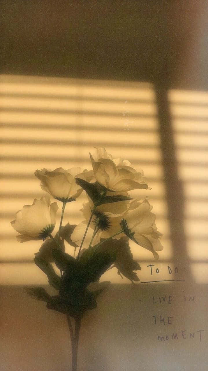 soft white flowers, warm striped blinds, handwritten motivational text, HD Phone Wallpaper