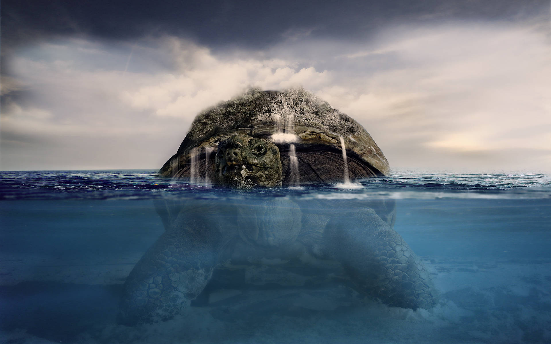 gigantic cool turtle, sea turtle, forested island, Full HD Desktop Wallpaper