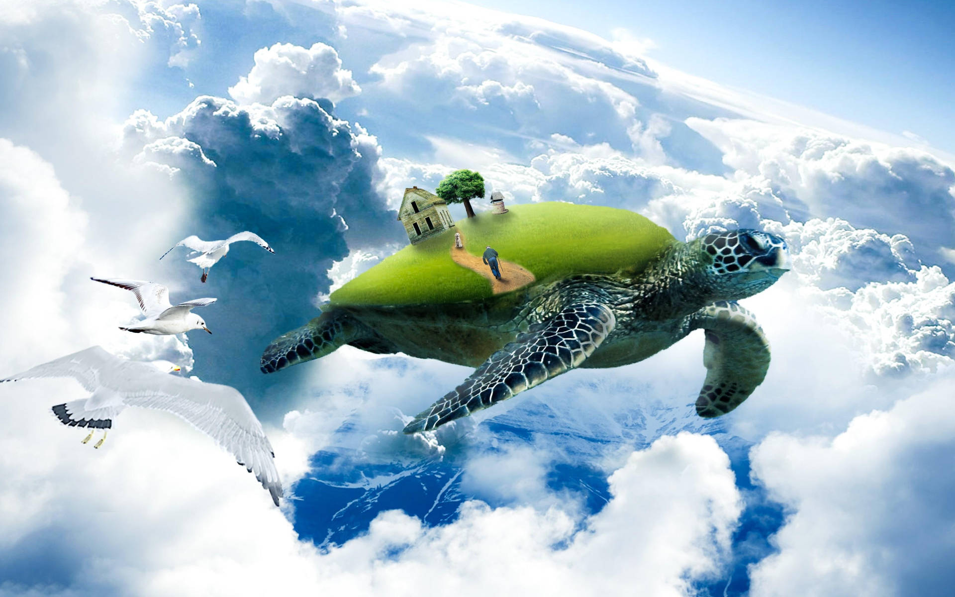 Cool Turtle, fluffy white clouds, bright blue sky, Full HD Desktop Wallpaper