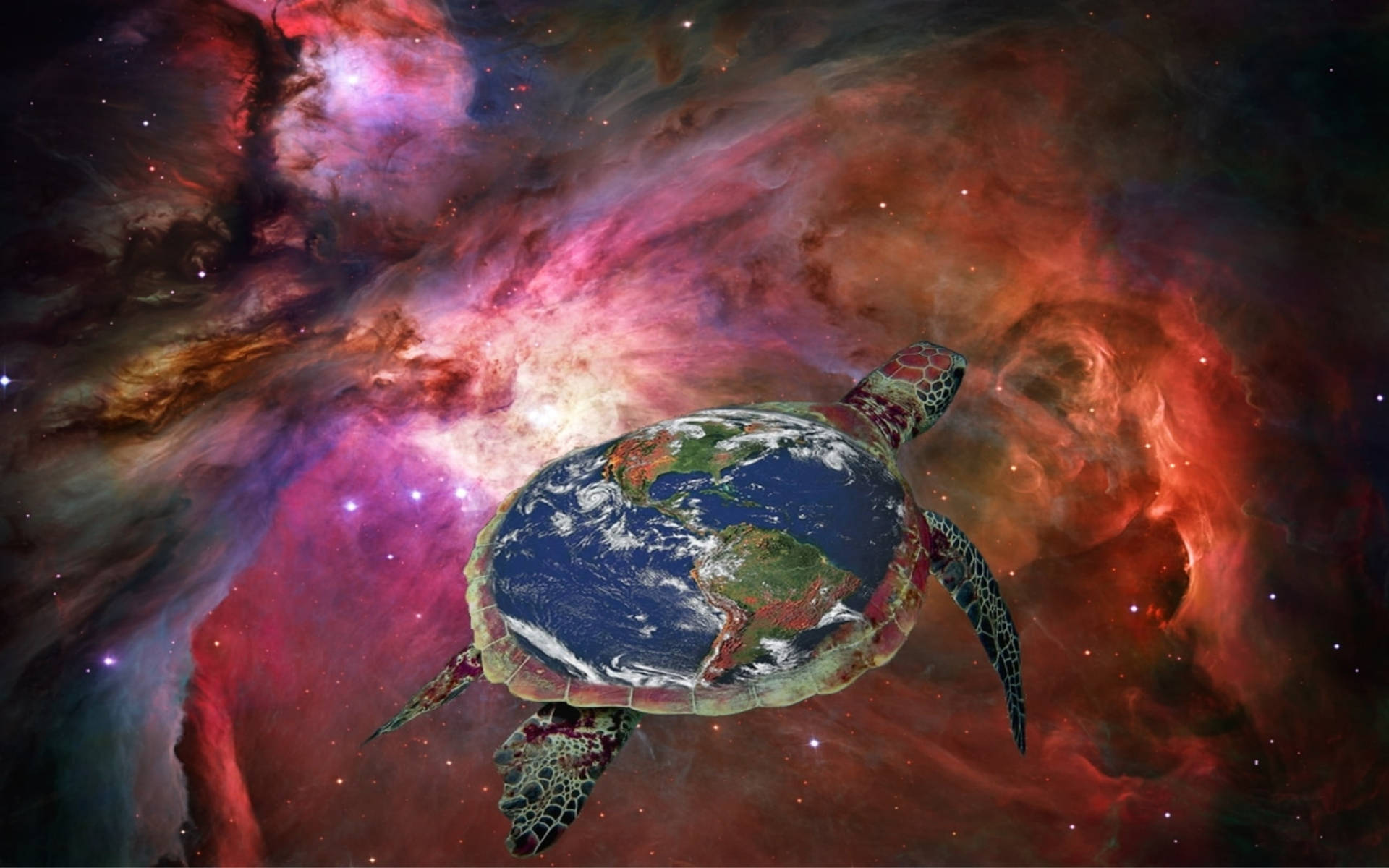 Cool Turtle, Earth's continents, vibrant red and purple cosmic nebula, Full HD Desktop Wallpaper