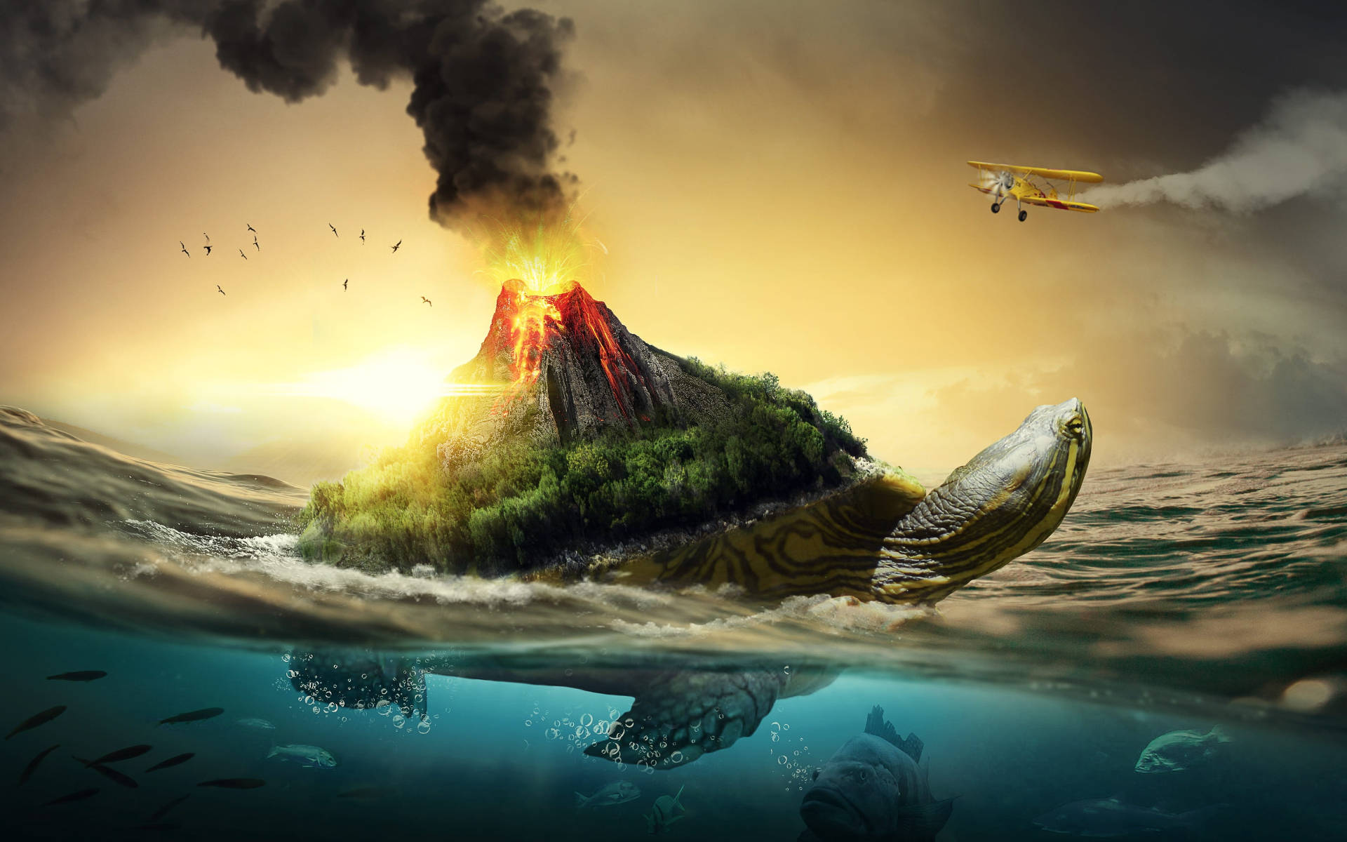 Cool Turtle, volcano, lava, Full HD Desktop Wallpaper