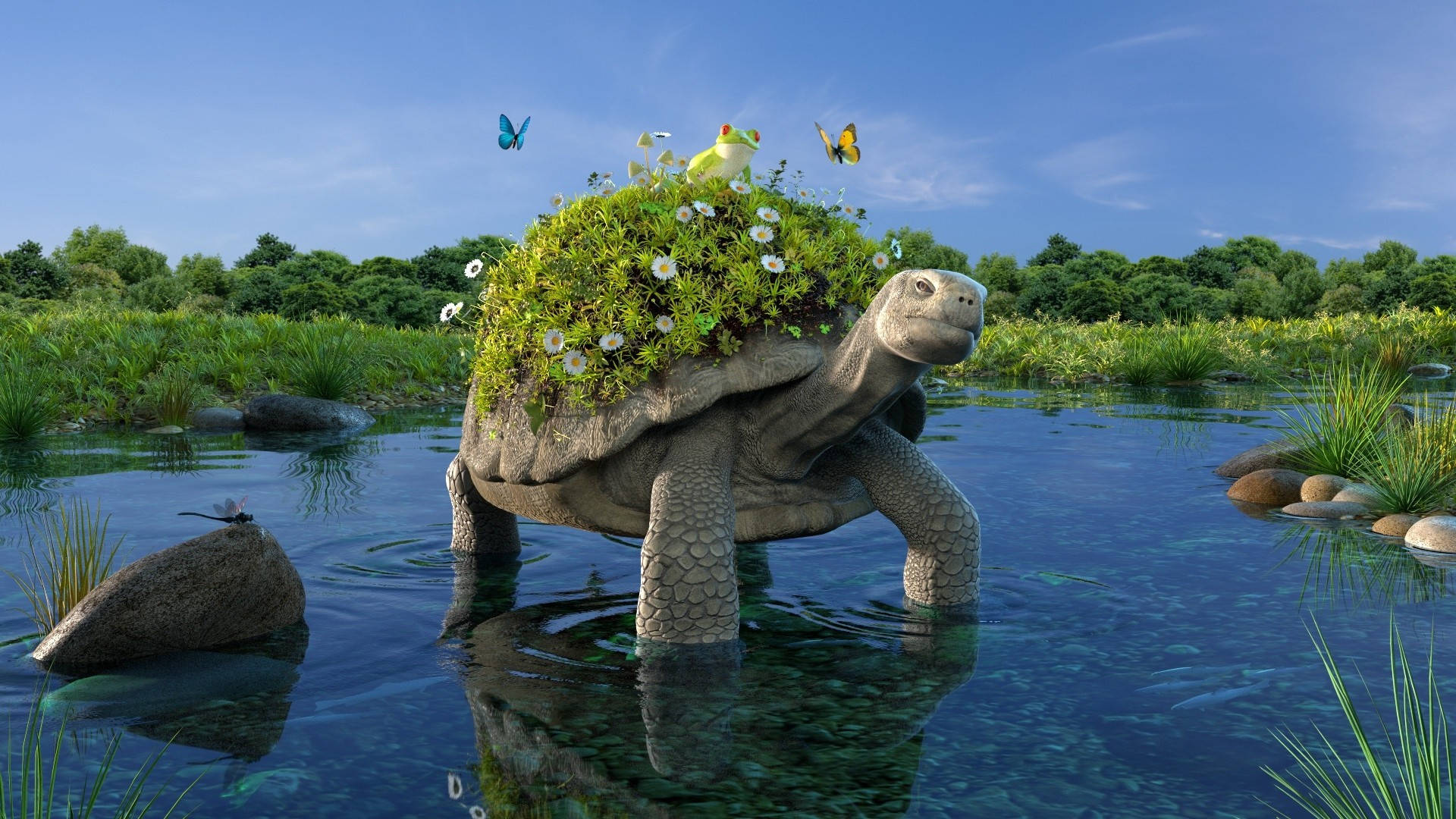 Cool Turtle, flowery shell, white flowers, Full HD Desktop Wallpaper