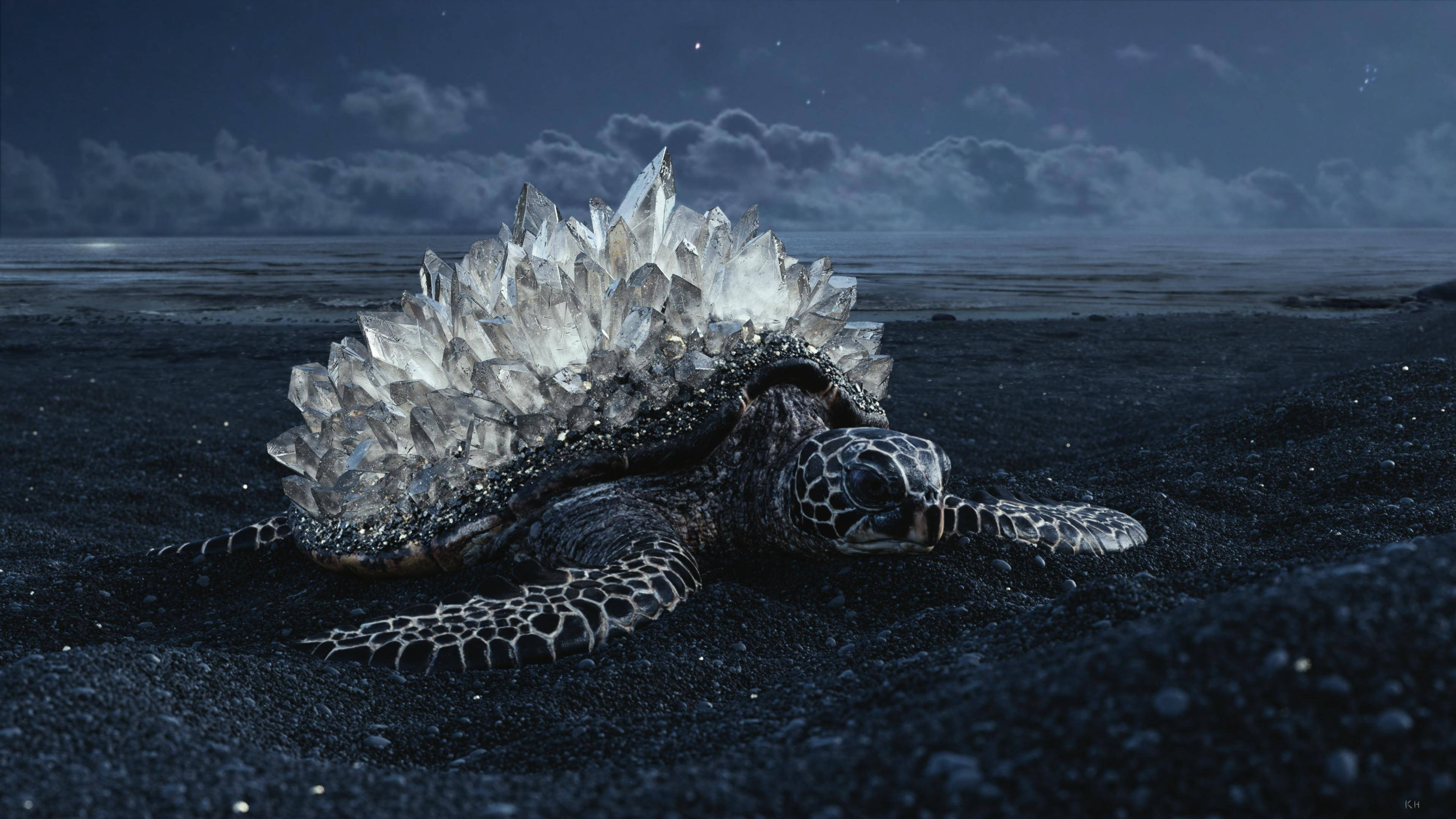 Cool Turtle, crystal shell, black volcanic beach, 4K Desktop Wallpaper