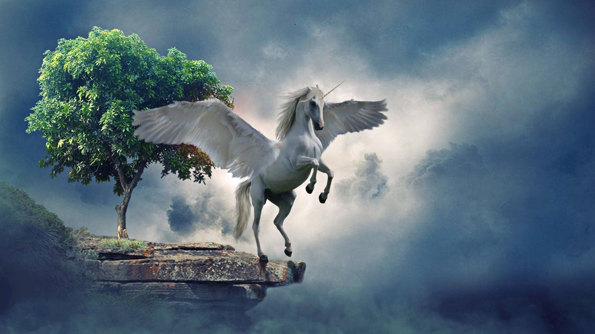 Cool Unicorn, white winged unicorn, cliff edge, Full HD Desktop Wallpaper