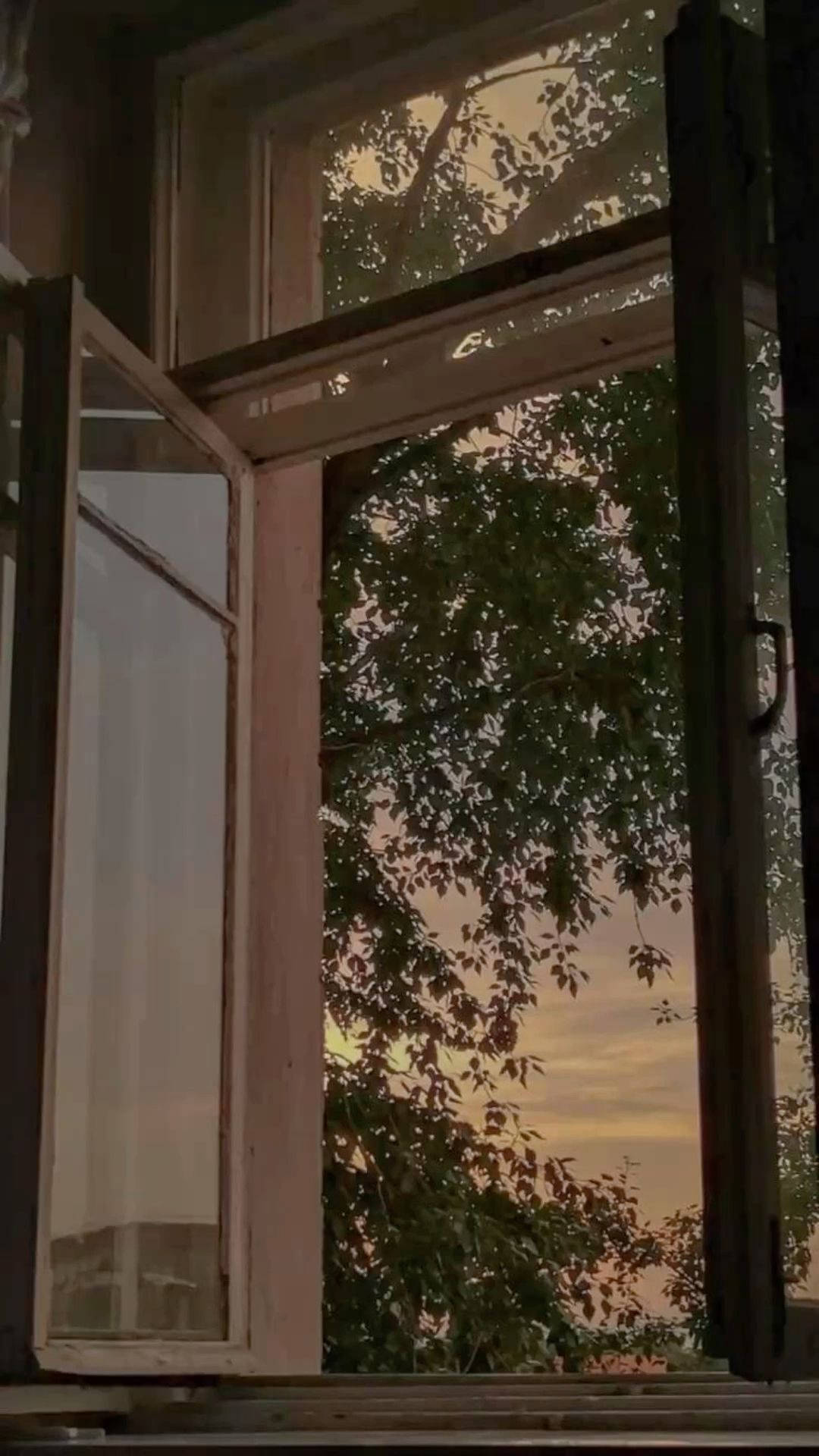 sun, sunset, golden sky, Full HD Phone Wallpaper