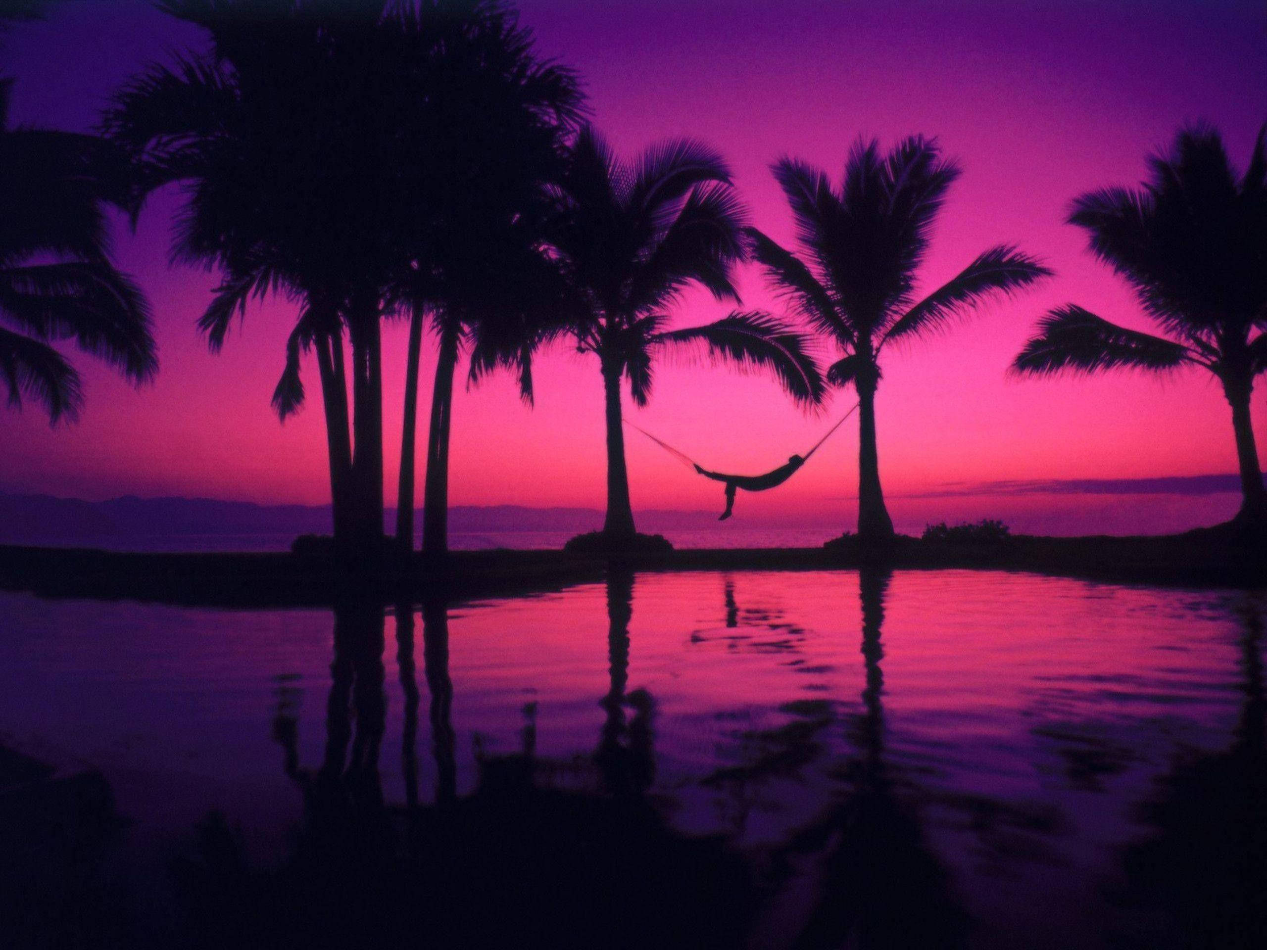 hammock, pool, palm trees, 2K Desktop Wallpaper