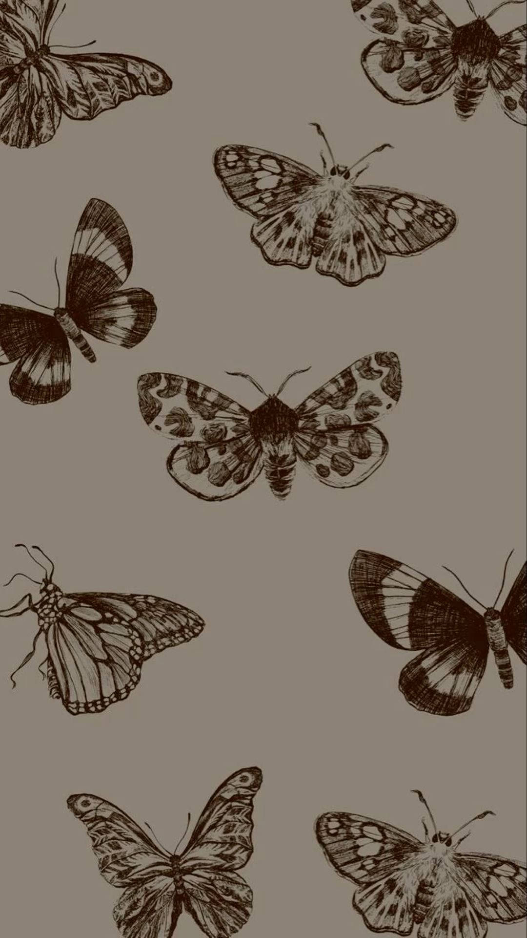 butterflies, vintage-style, ink sketches, Full HD Phone Wallpaper