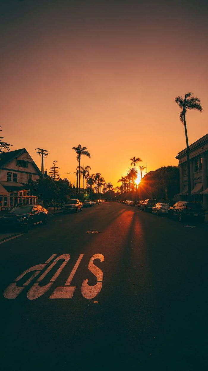 Sunset, palm-lined street, faded 'SLOW' road marking, SD Phone Wallpaper
