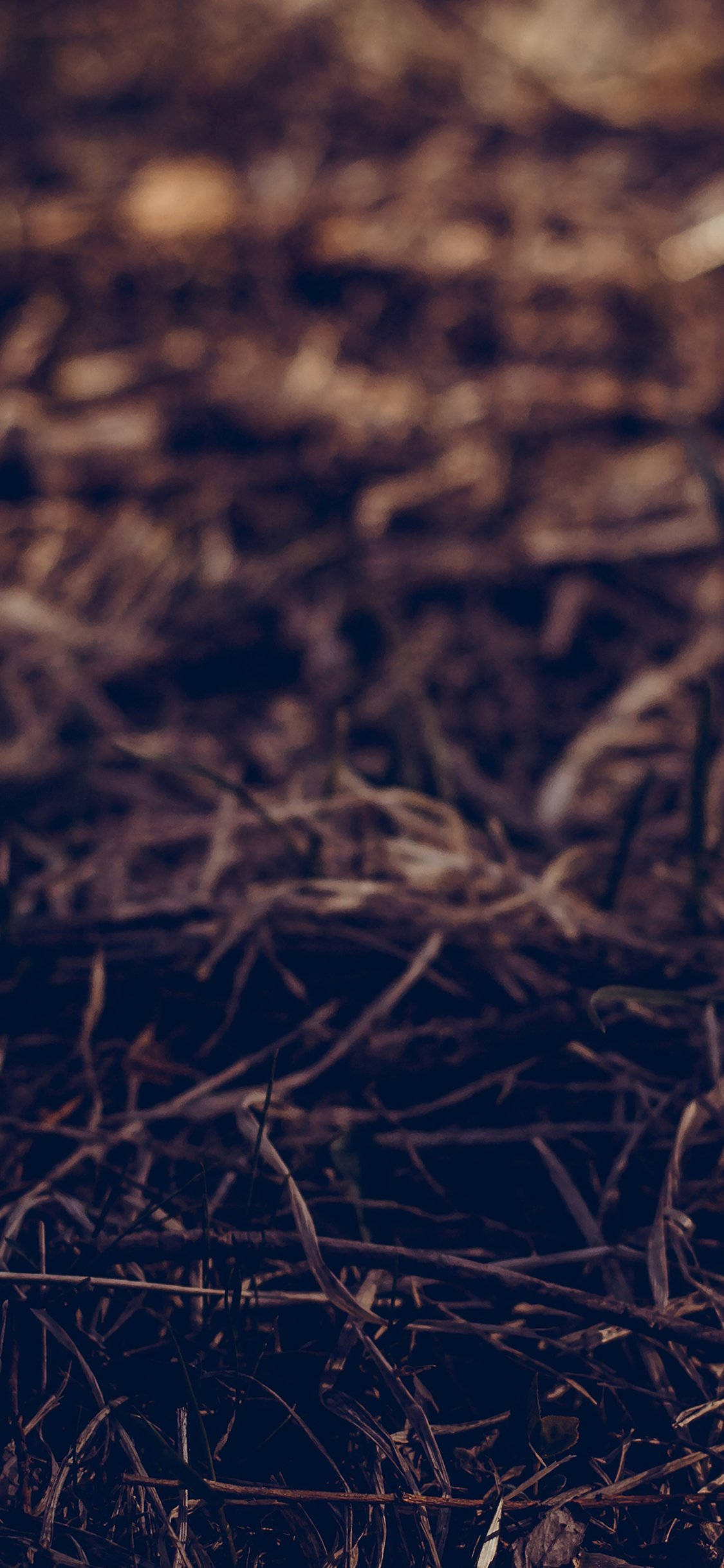 Cool Vintage, deep brown, dark tones, Full HD Phone Wallpaper