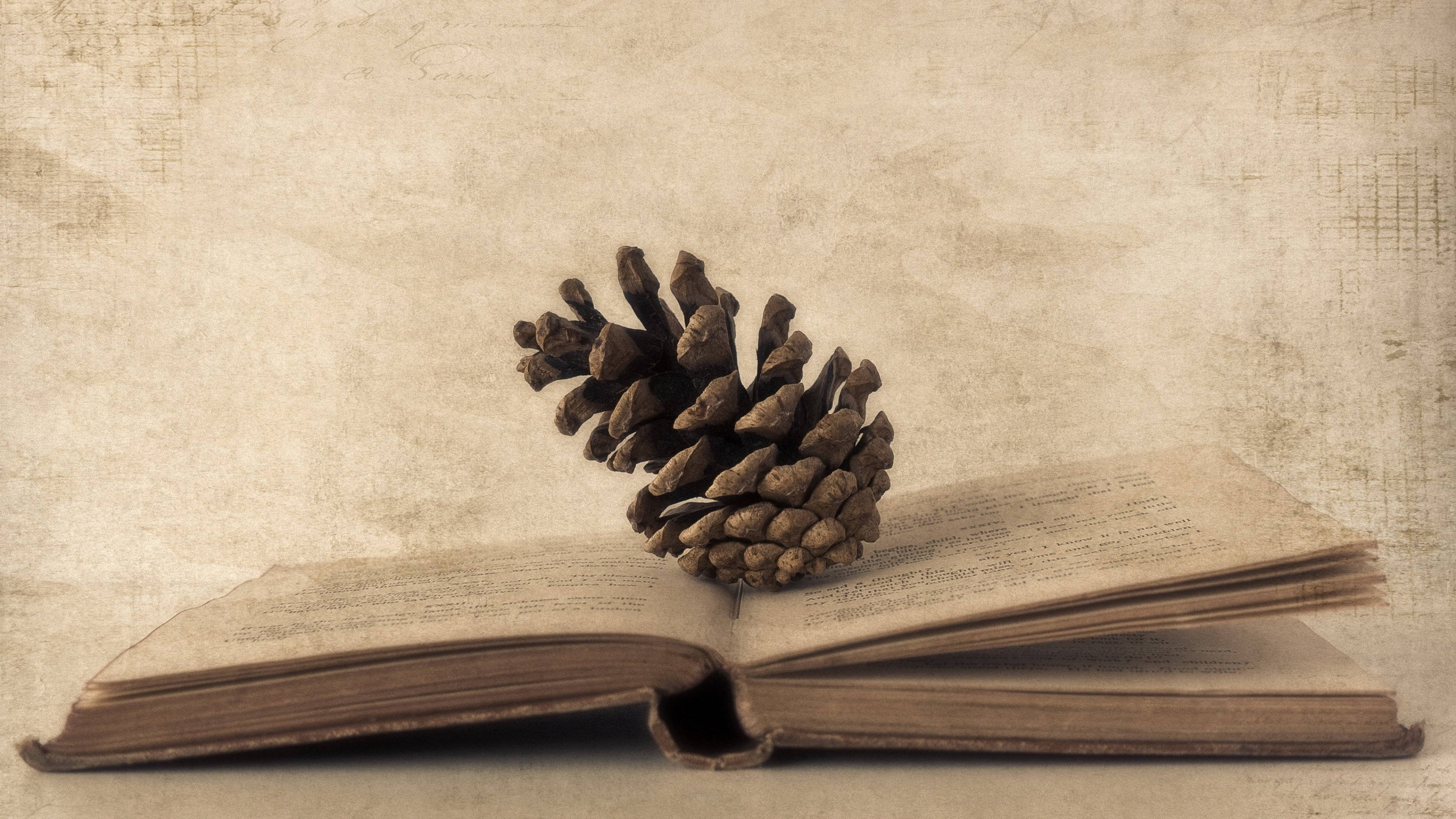 vintage book, weathered pinecone, textured beige backdrop, 4K Desktop Wallpaper