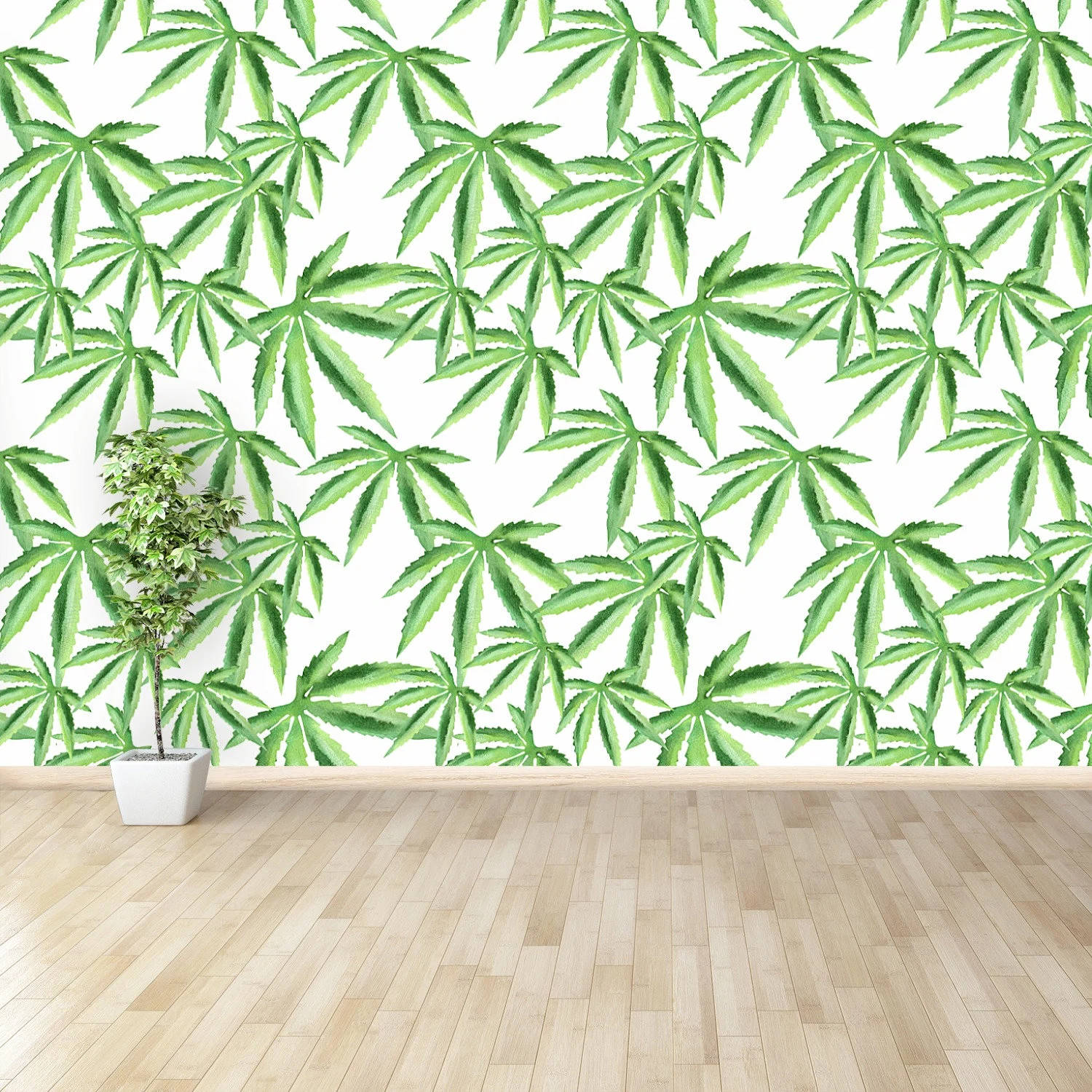 Cool Weed Room, light wood flooring, white wall, HD Desktop Wallpaper
