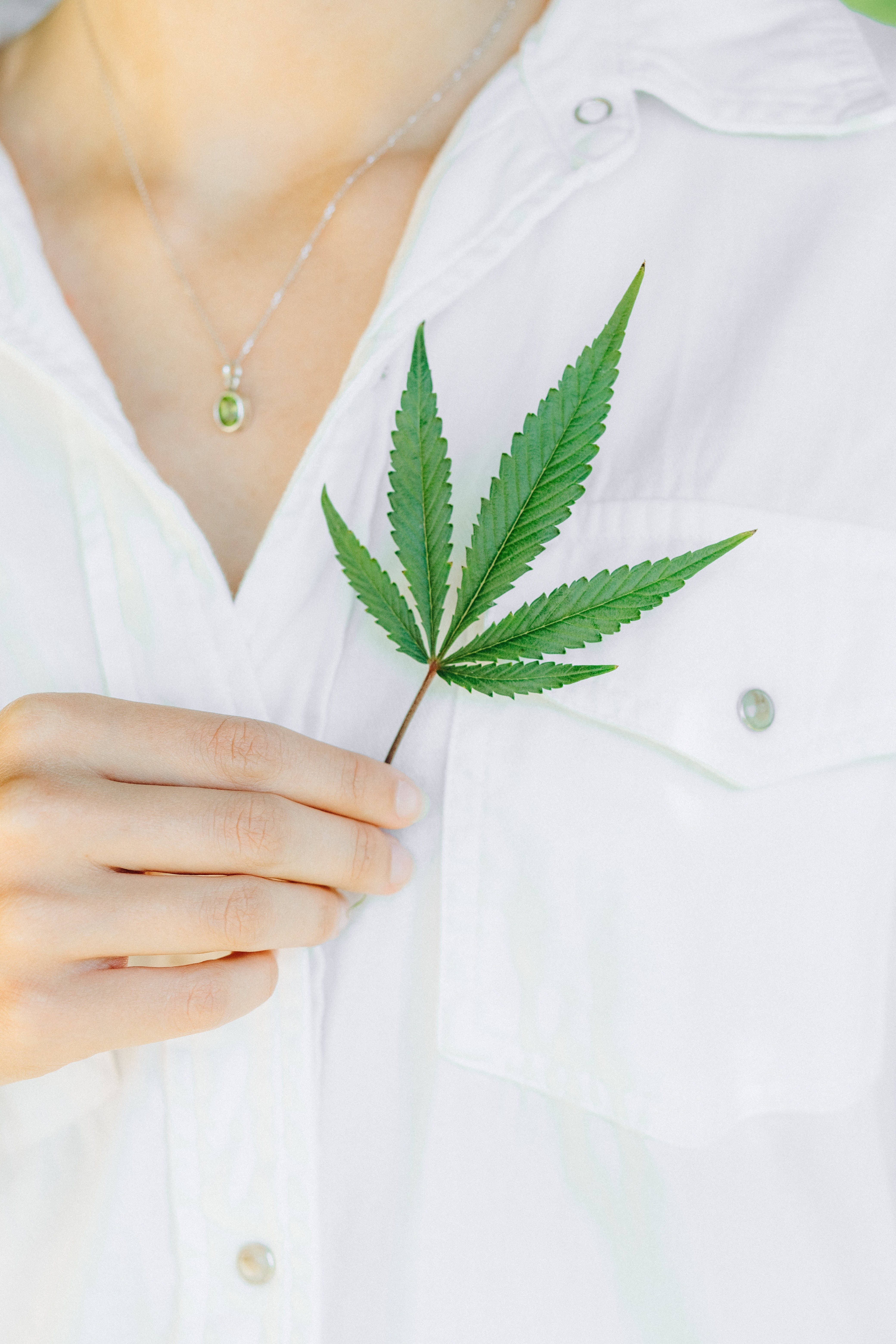 Cool Weed, cannabis leaf, white shirt, 5K Phone Wallpaper