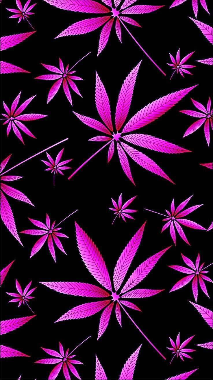 Cool Weed, pink leaves, vibrant pink, HD Phone Wallpaper