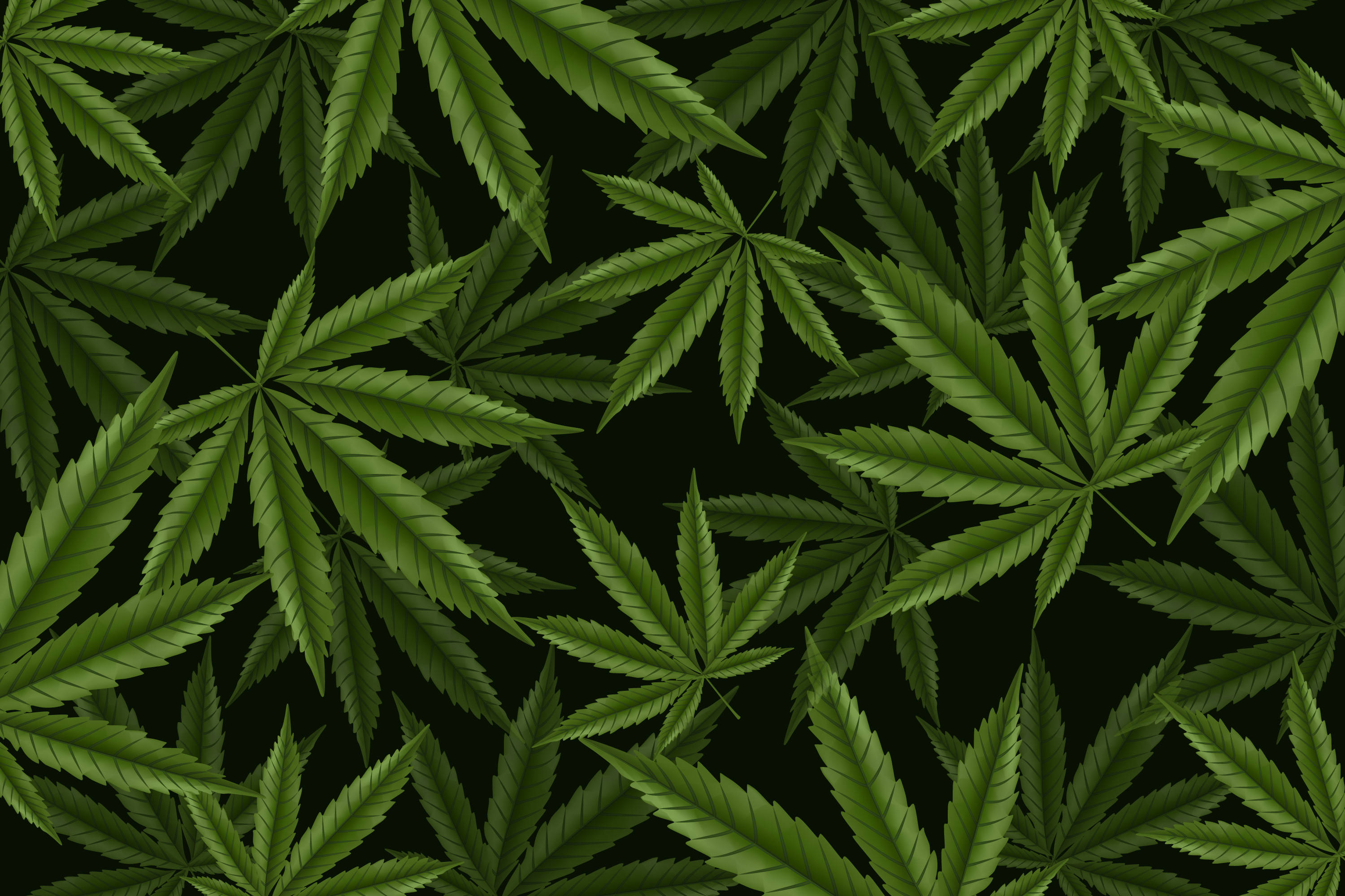 cannabis leaves, vibrant green, stark black background, 2K Desktop Wallpaper