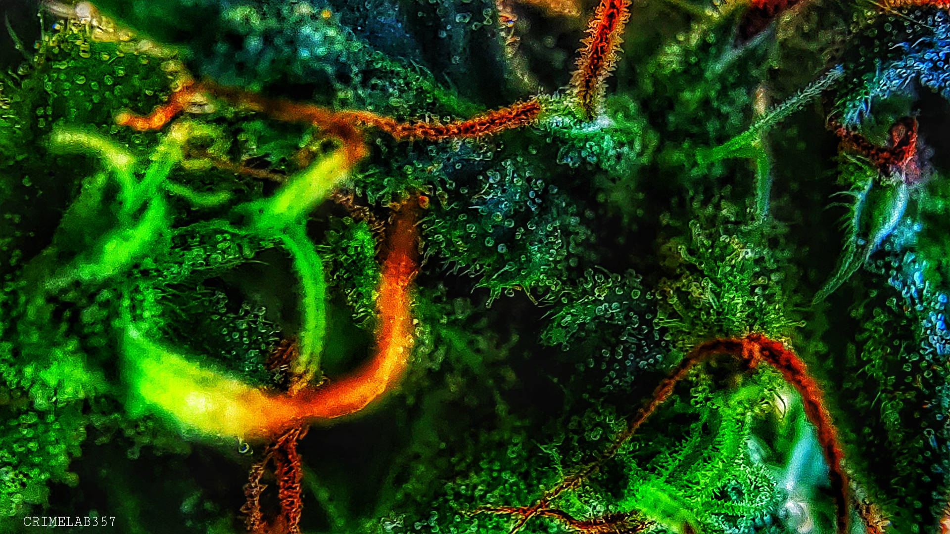 420 weed, neon green, orange glowing, Full HD Desktop Wallpaper