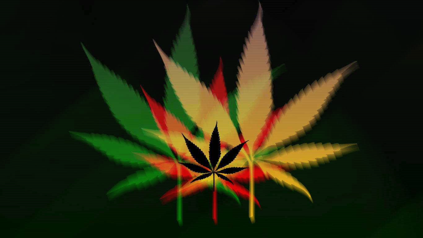 weed leaf, vibrant green, yellow, HD Desktop Wallpaper