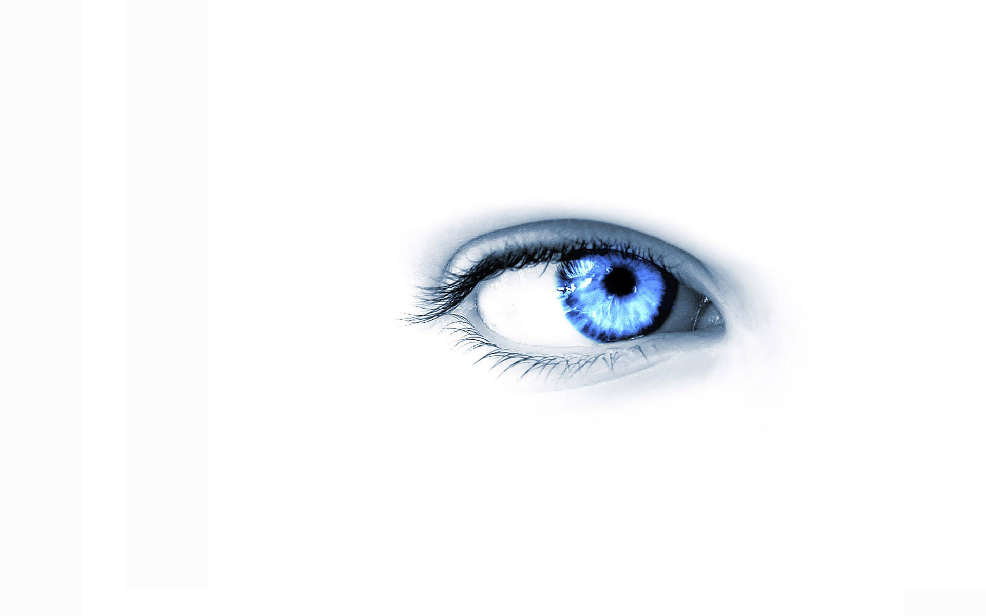 Blue Eye, Cool White, vivid blue, Full HD Desktop Wallpaper