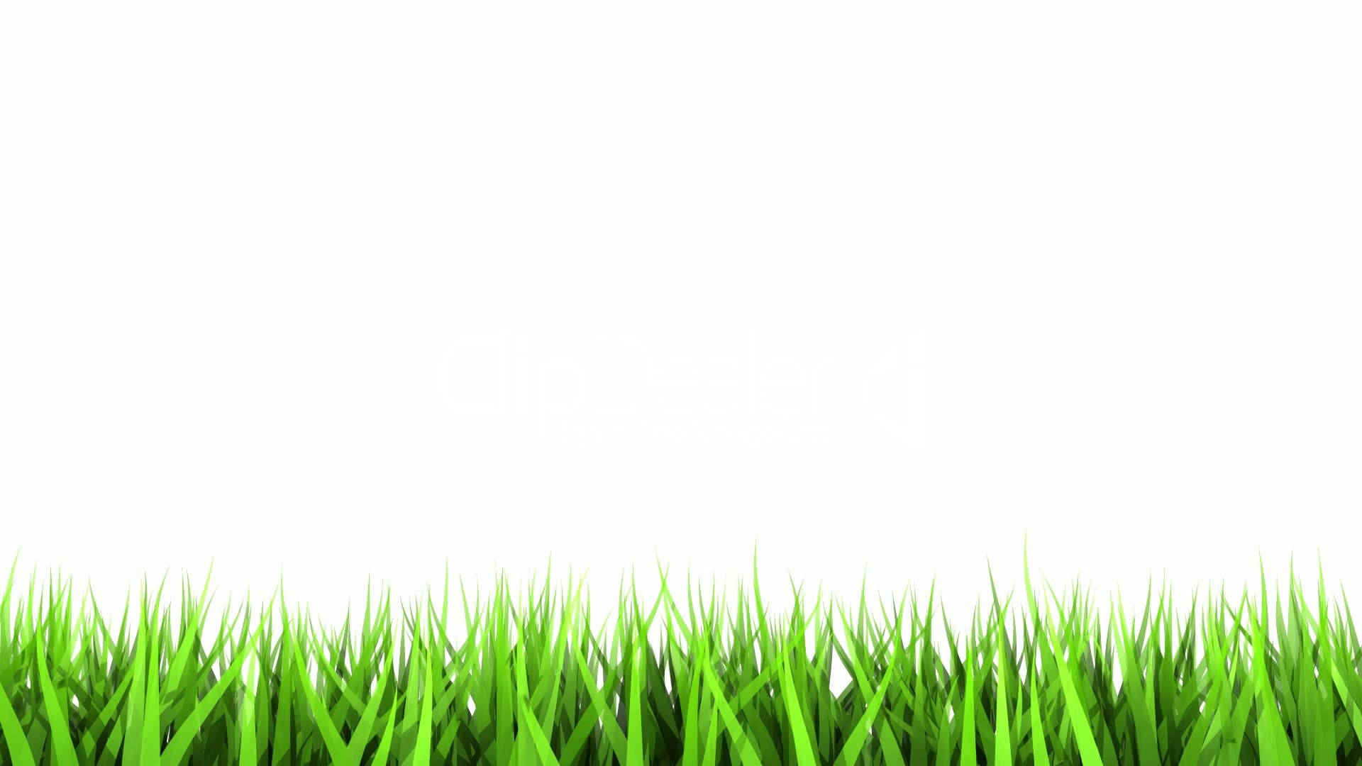 Cool White, green grass, stark white background, Full HD Desktop Wallpaper