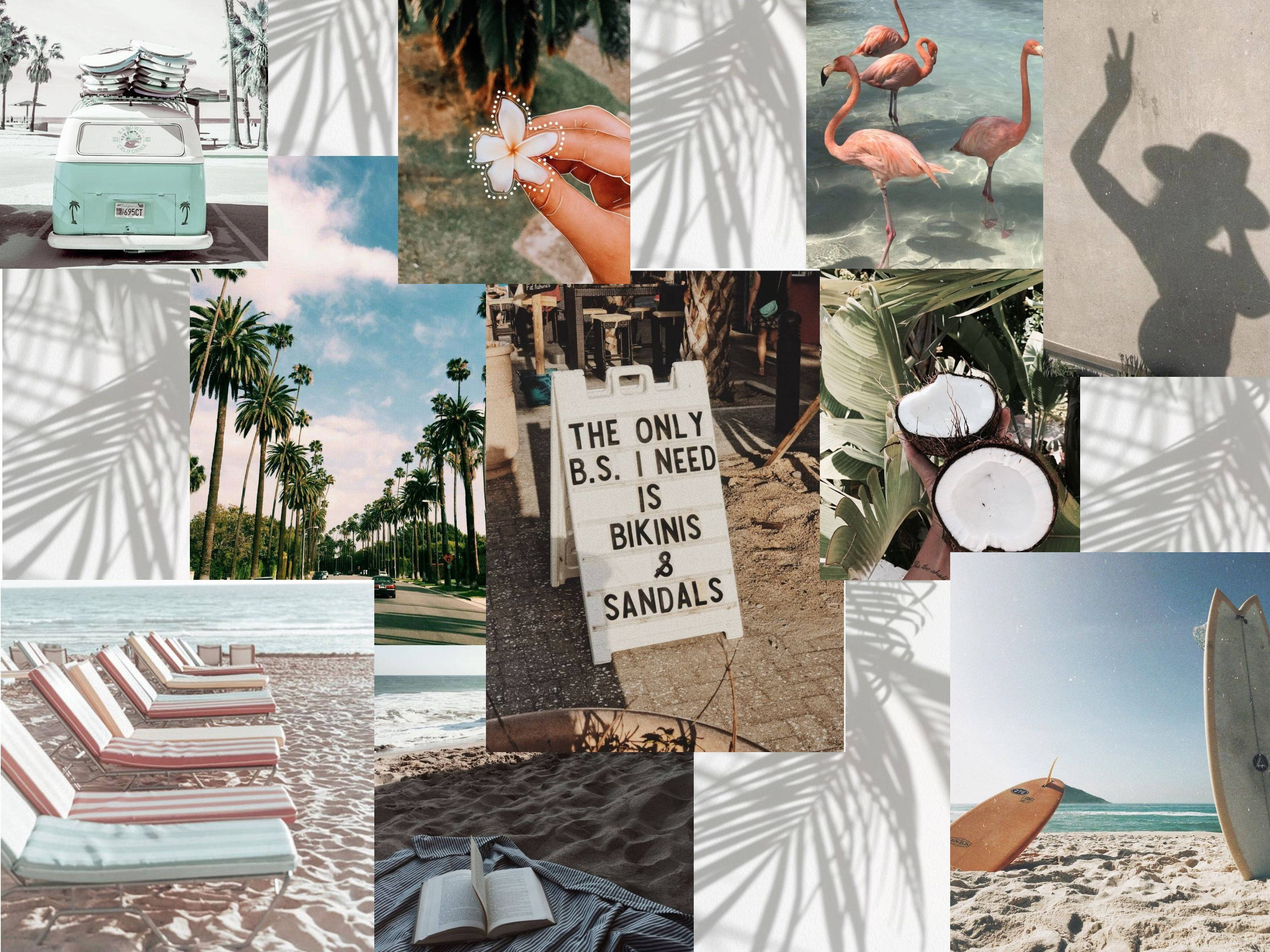 white collage, summer vibes, palm trees, 2K Desktop Wallpaper
