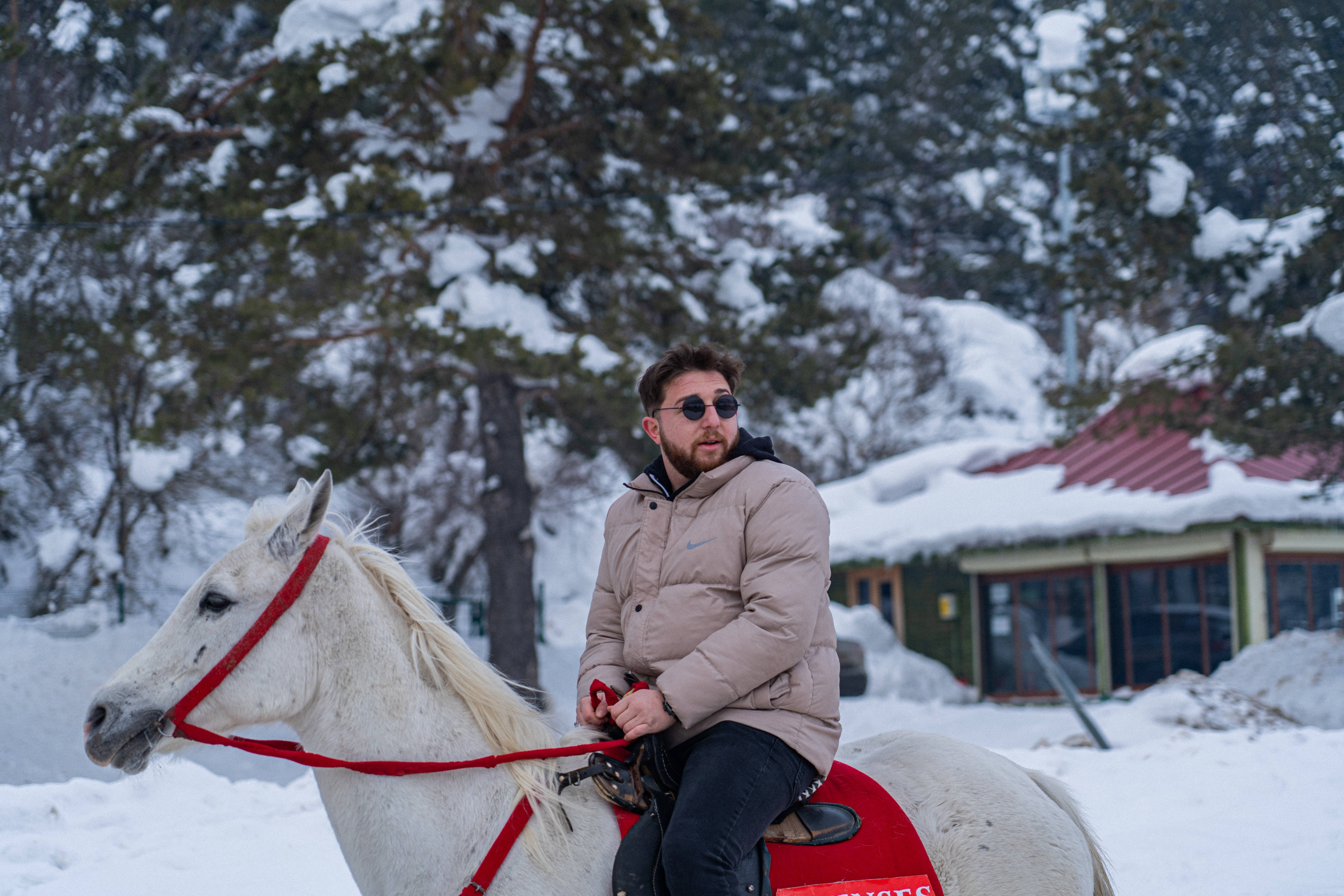 beige jacket, sunglasses, white horse, 5K Desktop Wallpaper