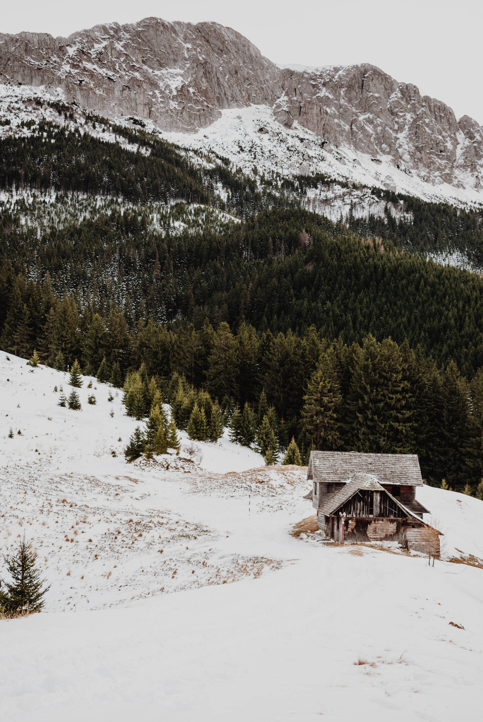 Cool Winter, wooden cabin, snowy mountain valley, 2K Phone Wallpaper