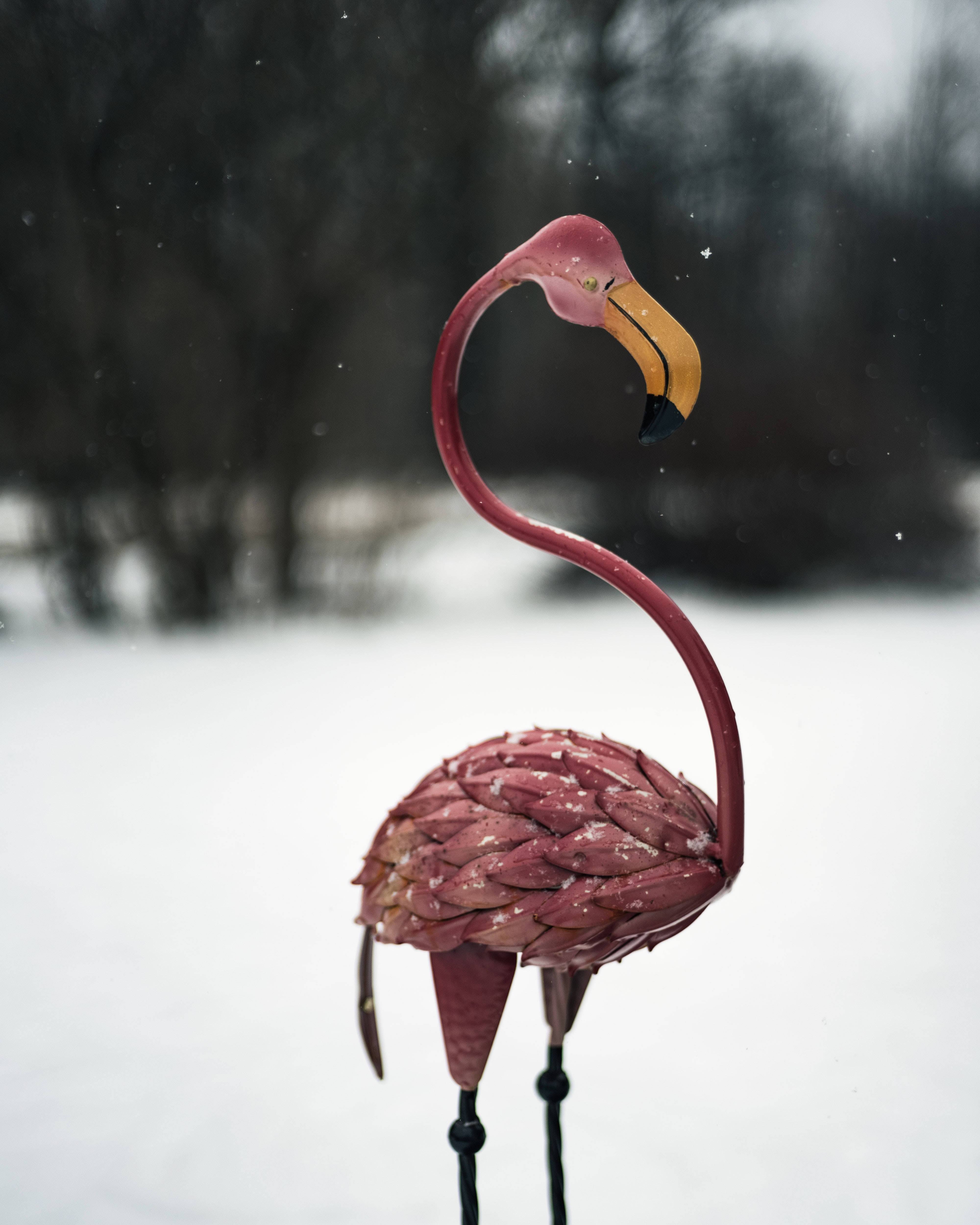 pink metal flamingo, snowy yard, falling snowflakes, 4K Phone Wallpaper