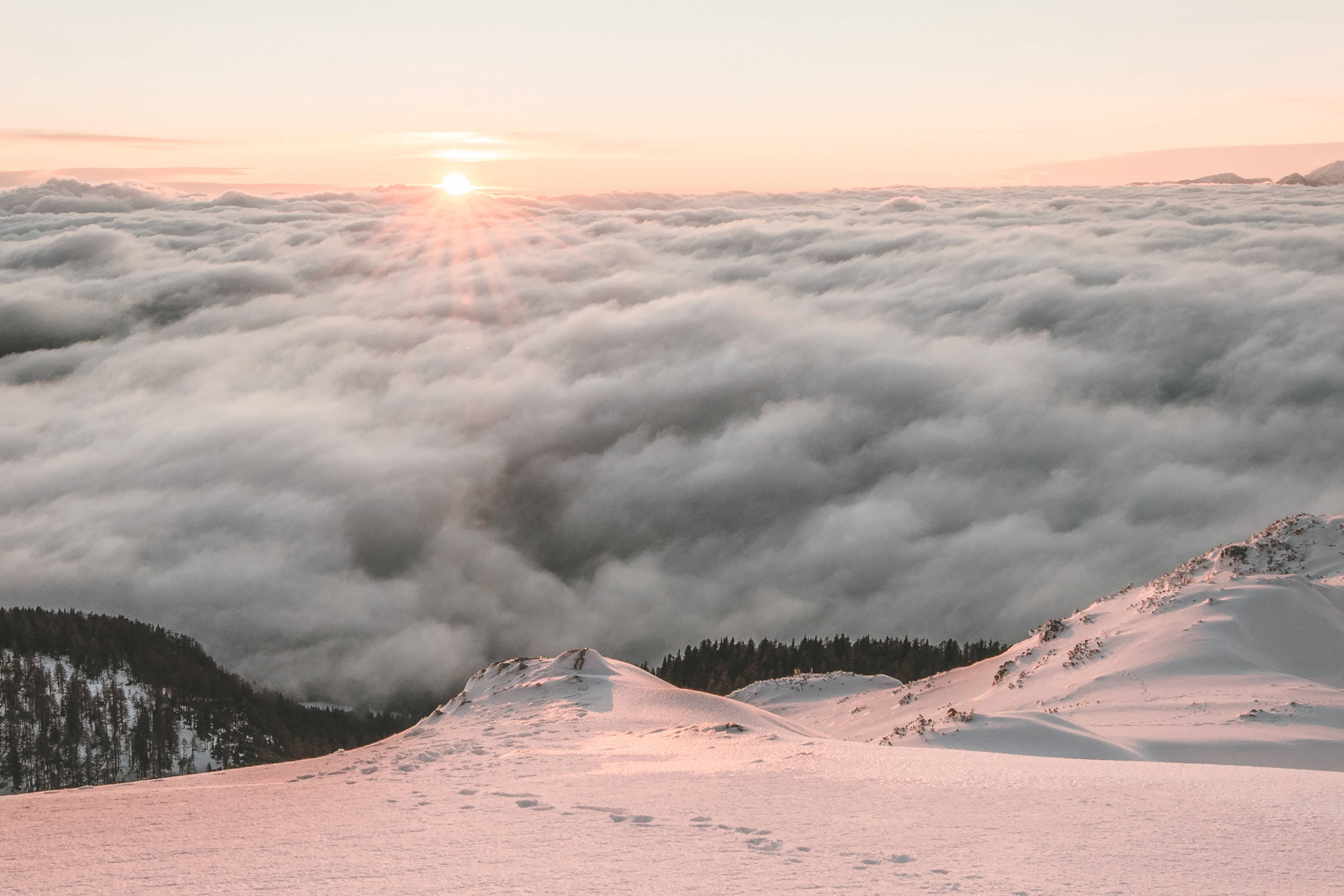 sunrise, sea of clouds, snowcapped mountain peaks, 2K Desktop Wallpaper