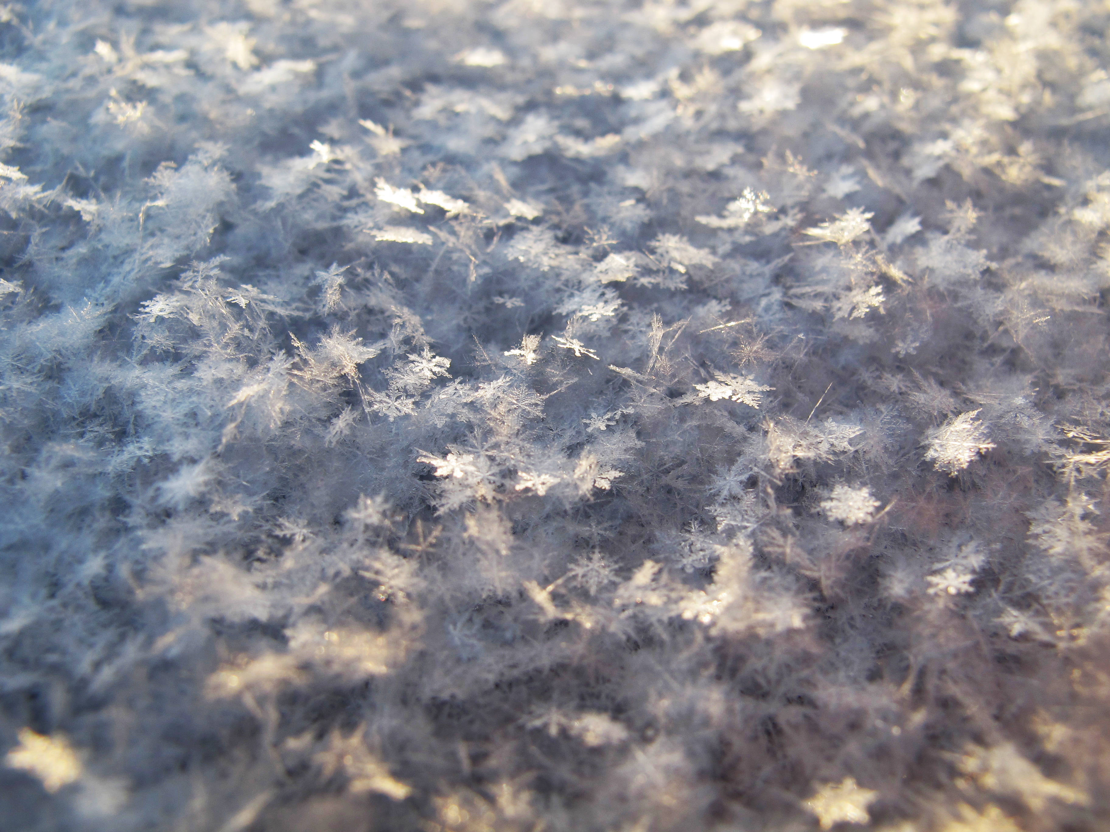 frost crystals, cold surface, soft golden light, 2K Desktop Wallpaper