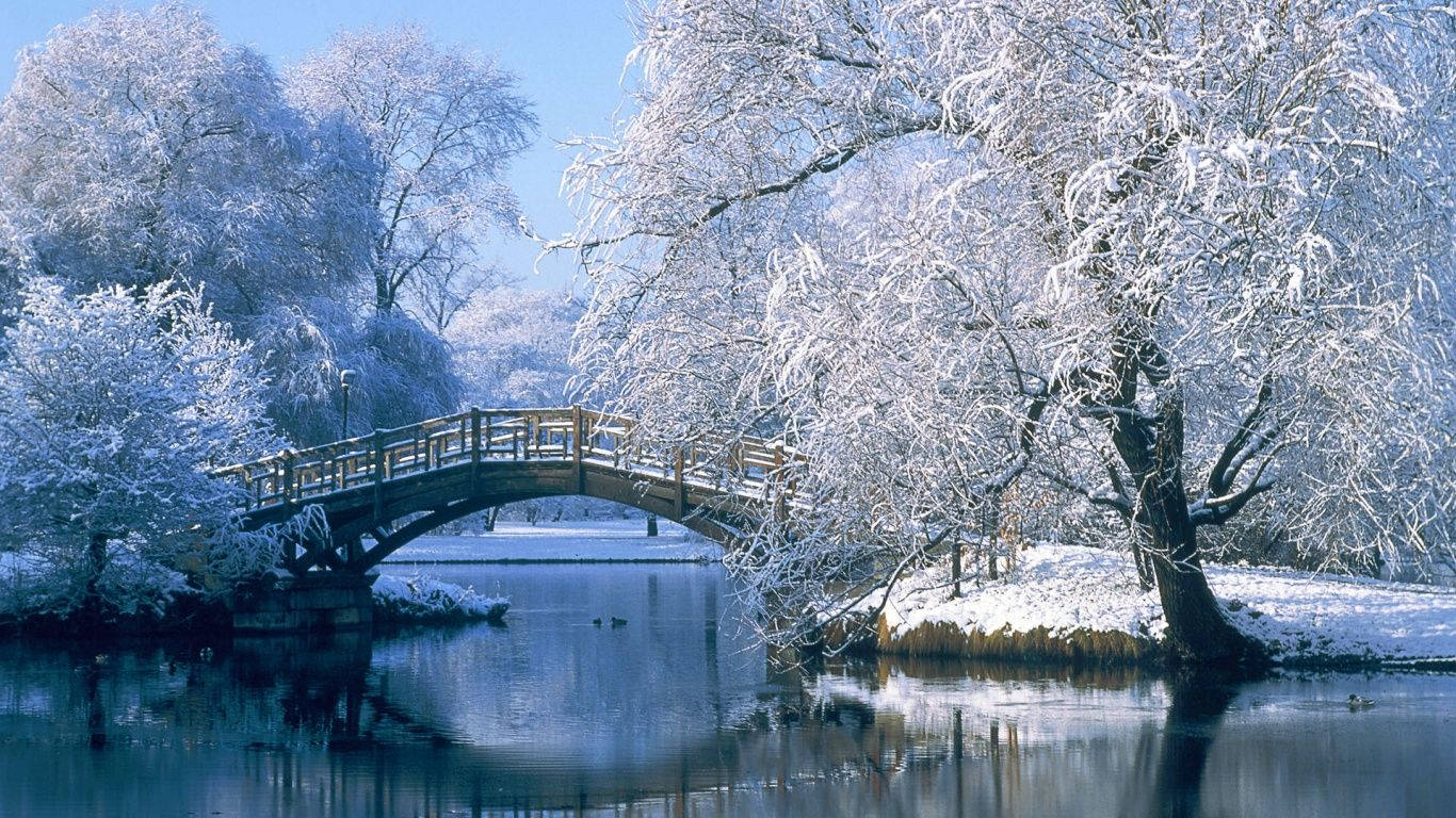 wooden arched bridge, calm river, snow-covered trees, HD Desktop Wallpaper