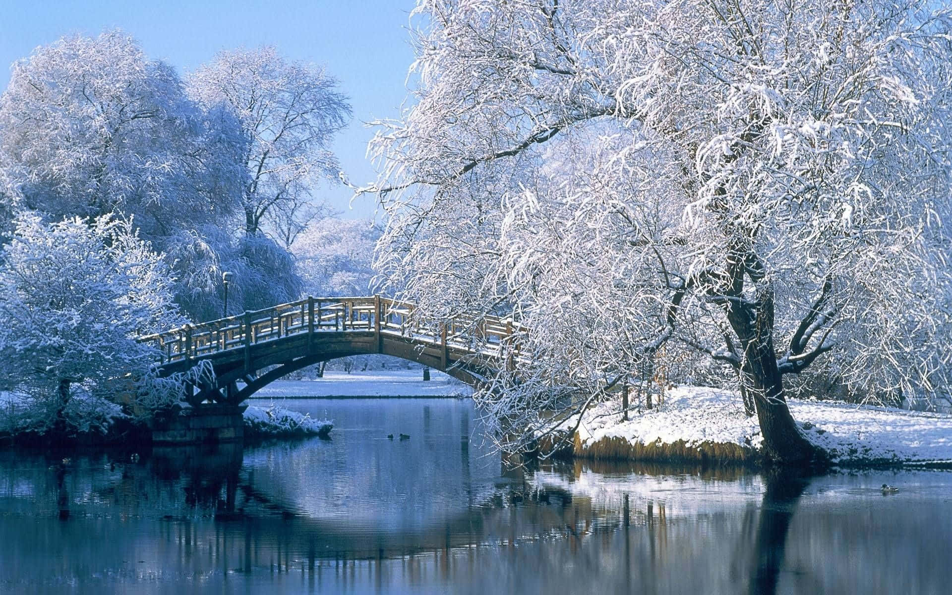 wooden arched bridge, calm river, snow-covered trees, Full HD Desktop Wallpaper