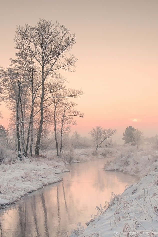 winter river, snow-covered banks, soft pink sunrise sky, SD Phone Wallpaper