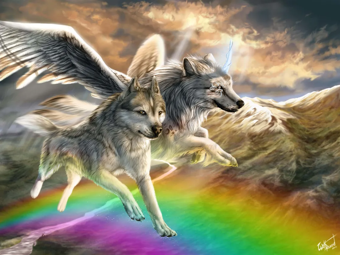 Cool Wolf