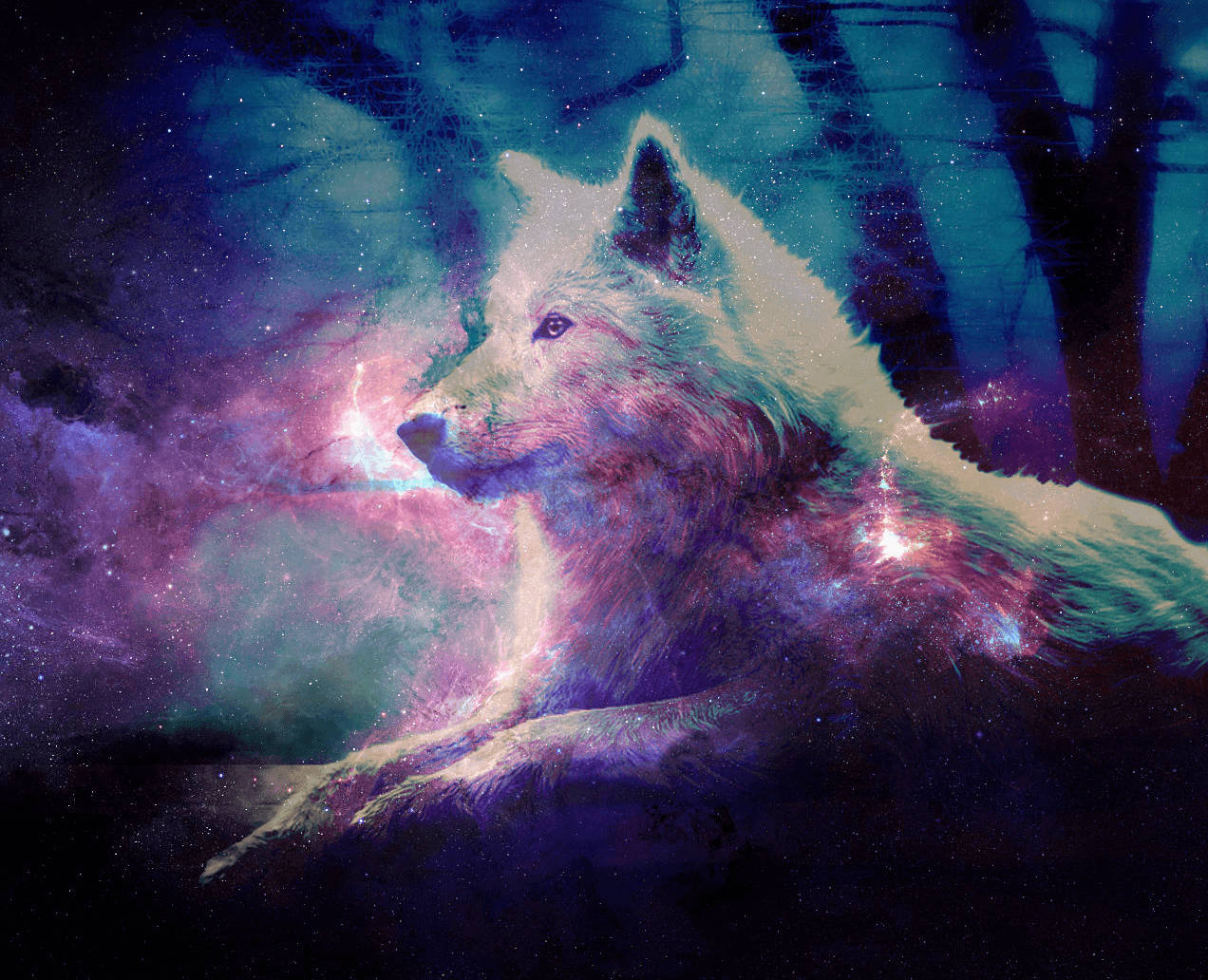 Cool Starry Galaxy Filter, white wolf, cosmic forest, SD Desktop Wallpaper