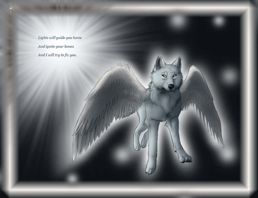 winged wolf, starry backdrop, glowing light rays, SD Desktop Wallpaper