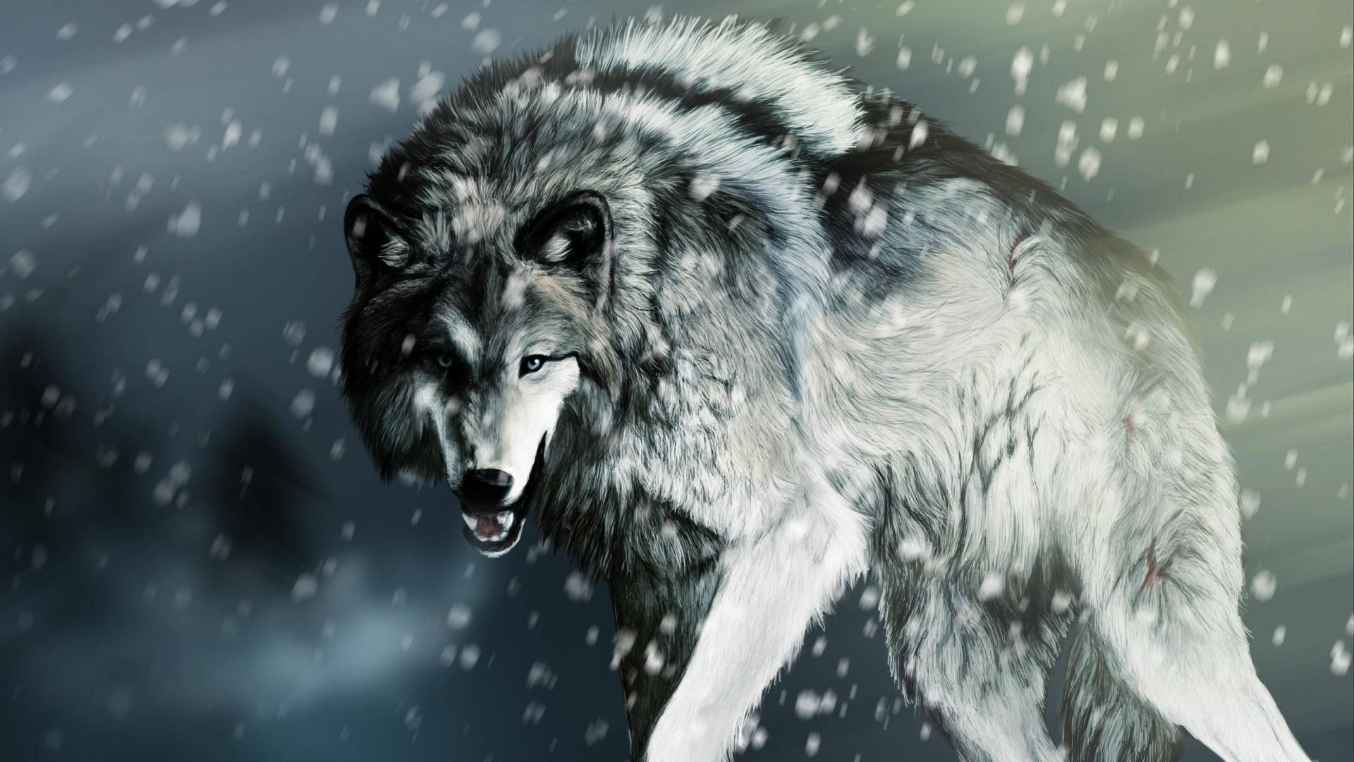 Cool Wolf, snow, snowflakes, Full HD Desktop Wallpaper