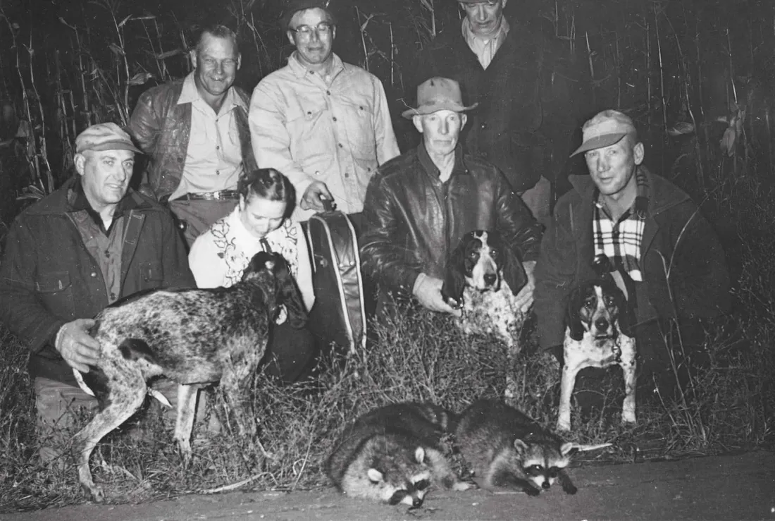 Coon Hunting