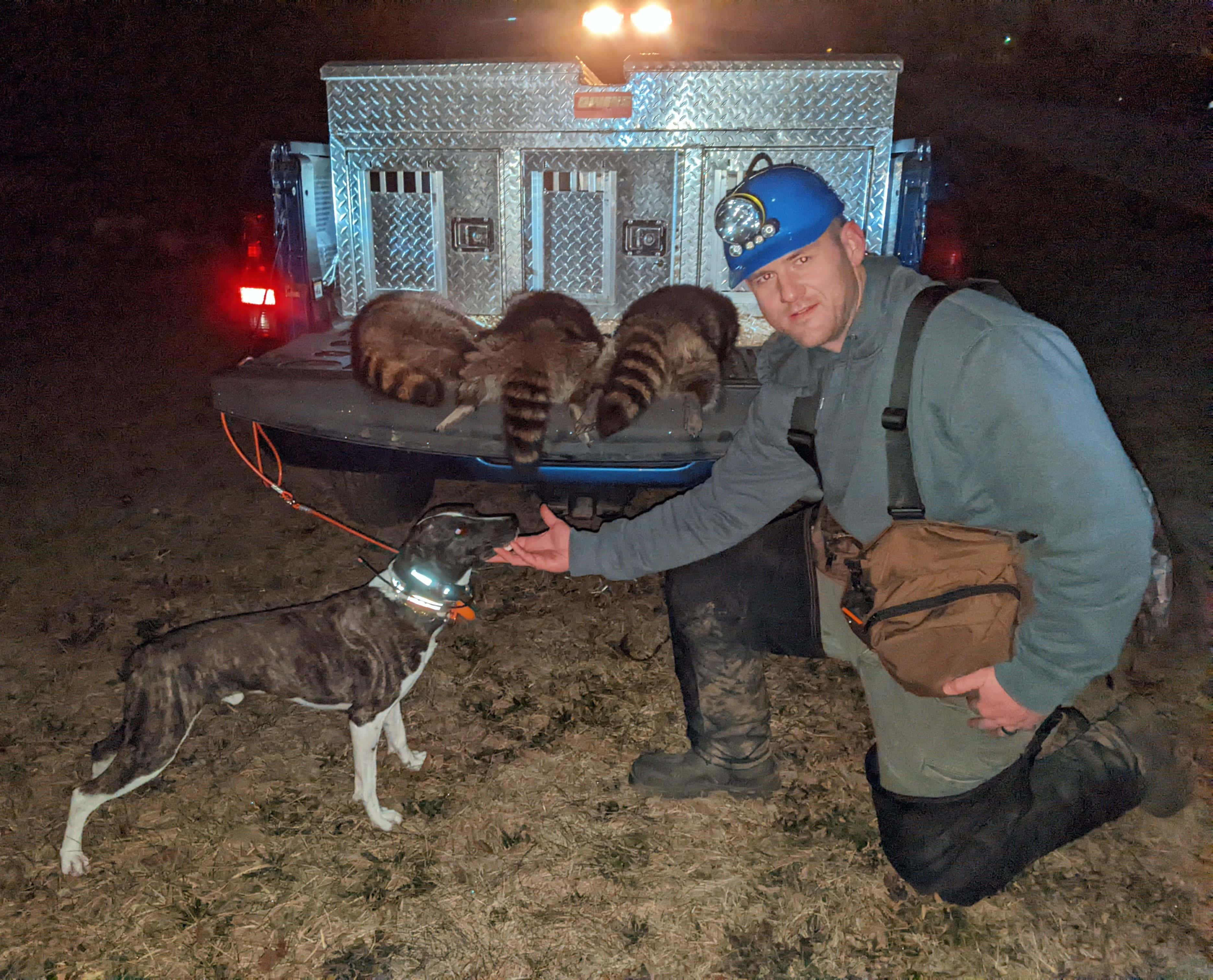 coon hunting, nighttime, blue helmet, 2K Desktop Wallpaper