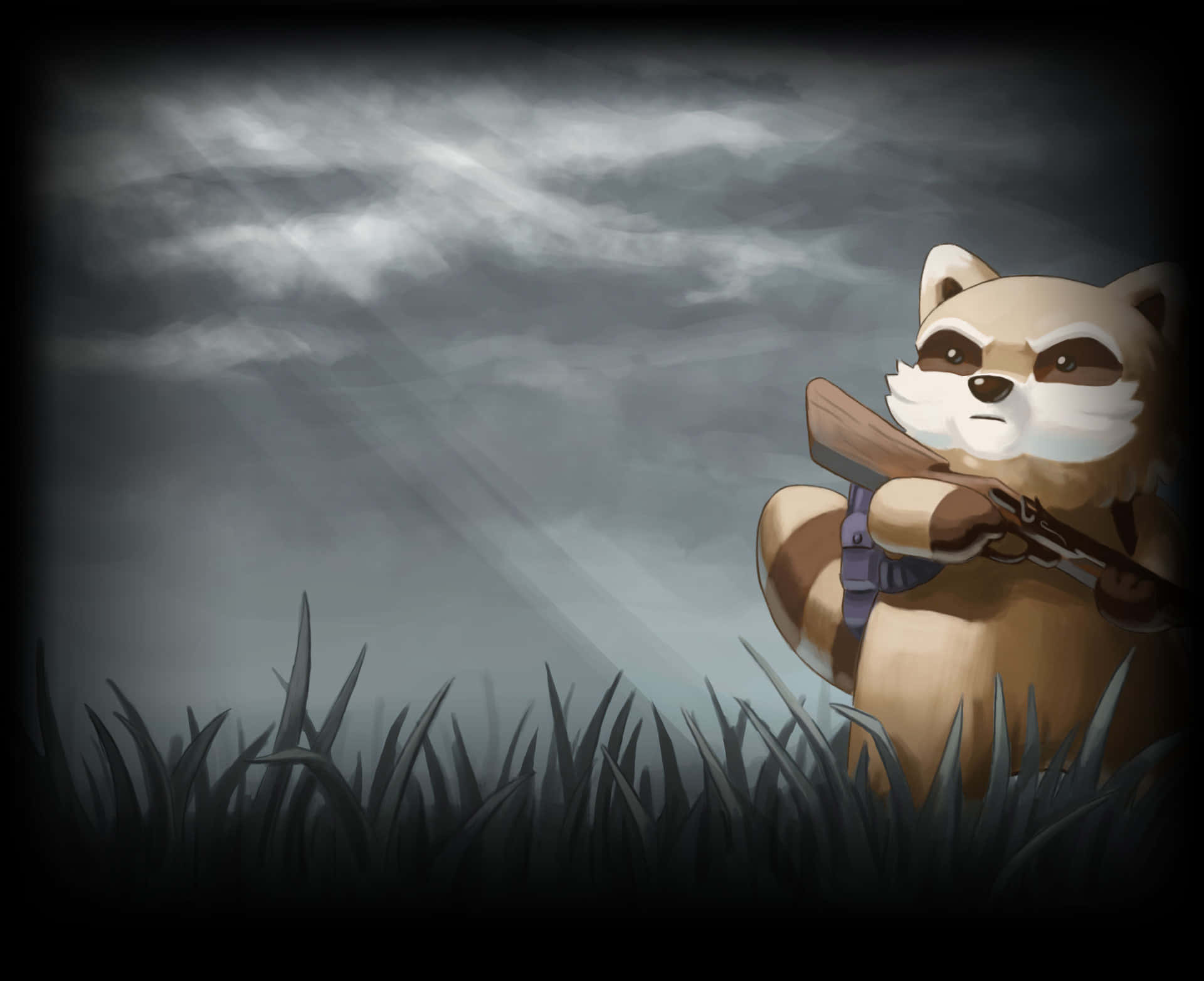 raccoon warrior, grassy field, rifle, Full HD Desktop Wallpaper