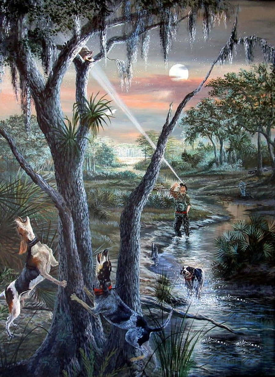coon hunting, swamp, dusk, SD Phone Wallpaper