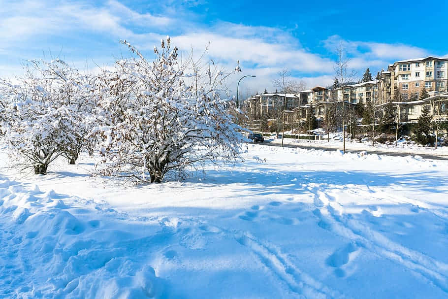 Coquitlam, winter landscape, snow, SD Desktop Wallpaper