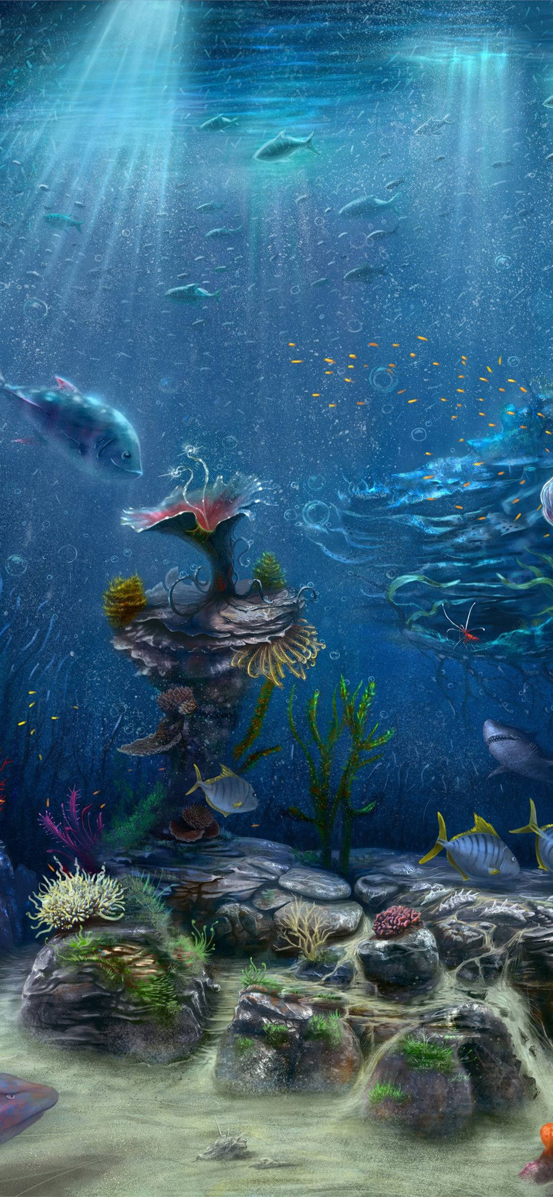 Coral Reef, tropical fish, colorful coral reefs, Full HD Phone Wallpaper