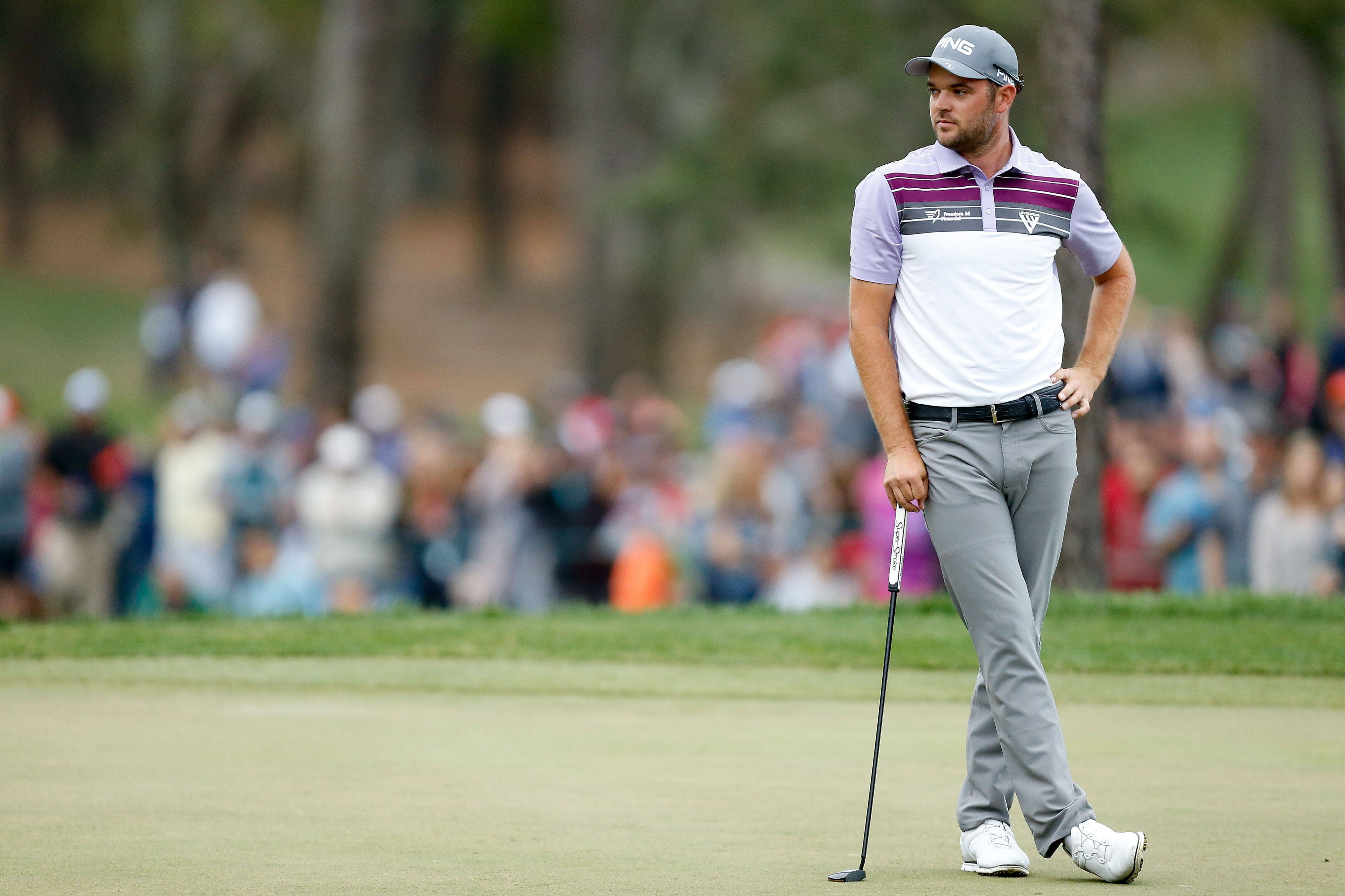 Corey Conners, putter, striped polo, 4K Desktop Wallpaper