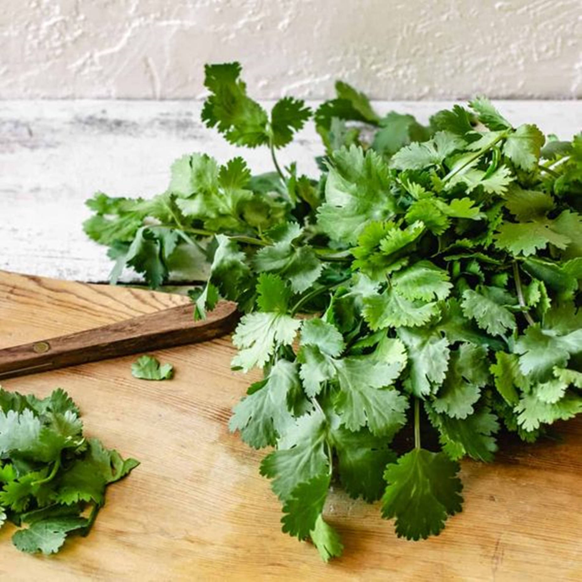 green coriander herbs, fresh vibrant green cilantro leaves, rustic wooden cutting board, HD Desktop Wallpaper