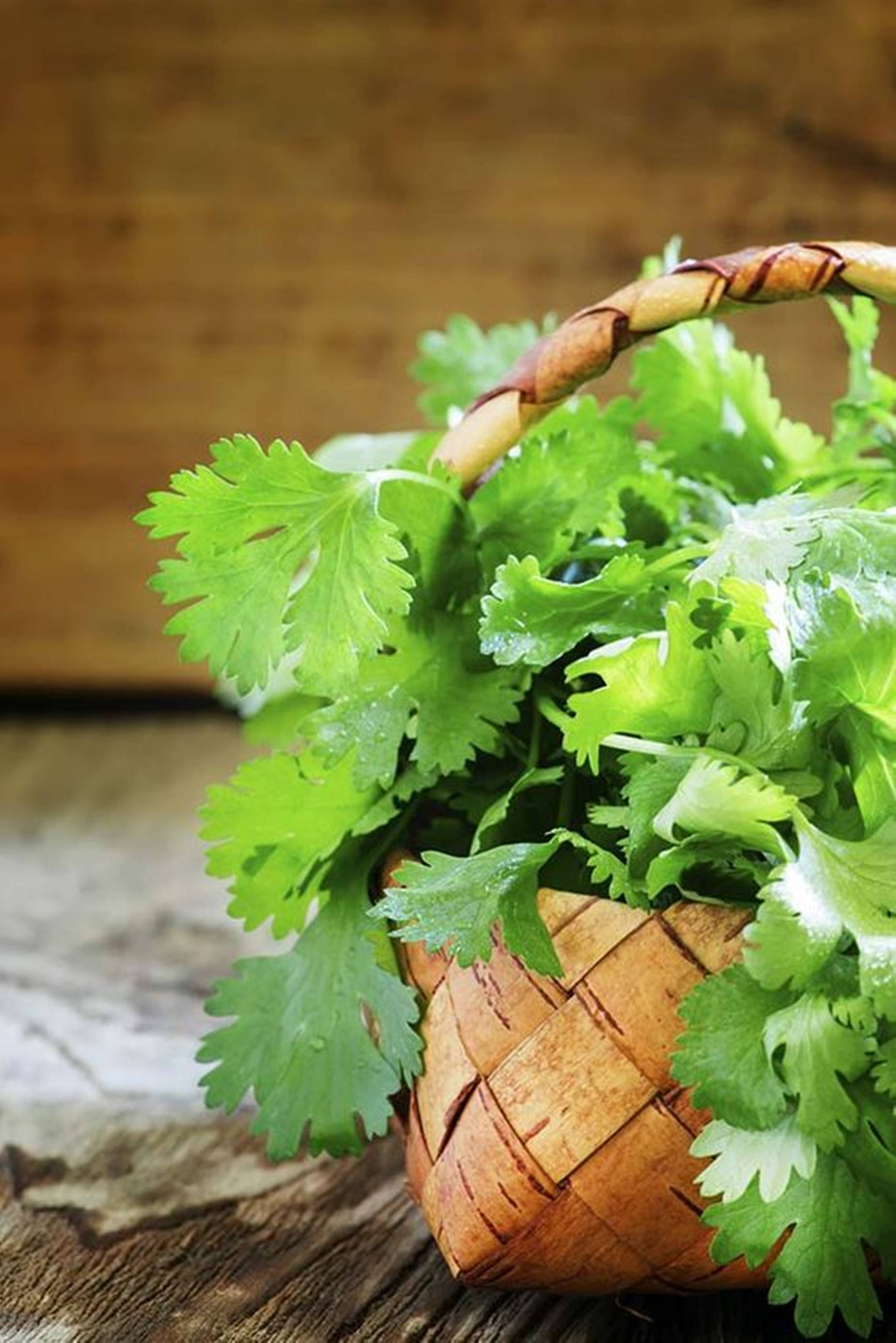 coriander plant, woven basket, birch basket, 2K Phone Wallpaper