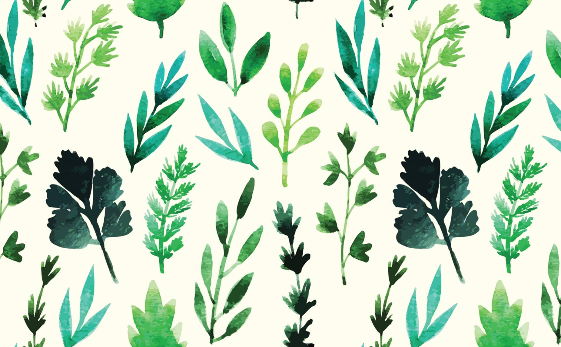 Coriander, herbs, watercolor pattern, HD Desktop Wallpaper